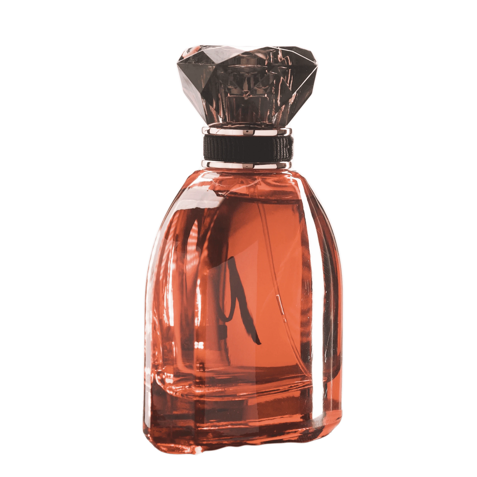 DOLCE - French Factor