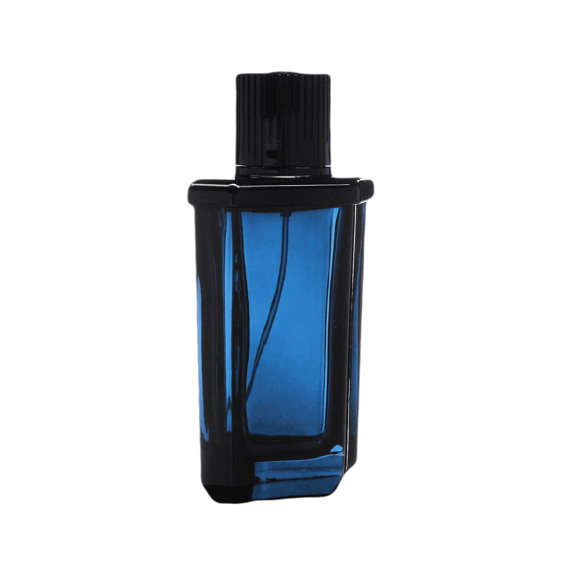 INVICTA - French Factor