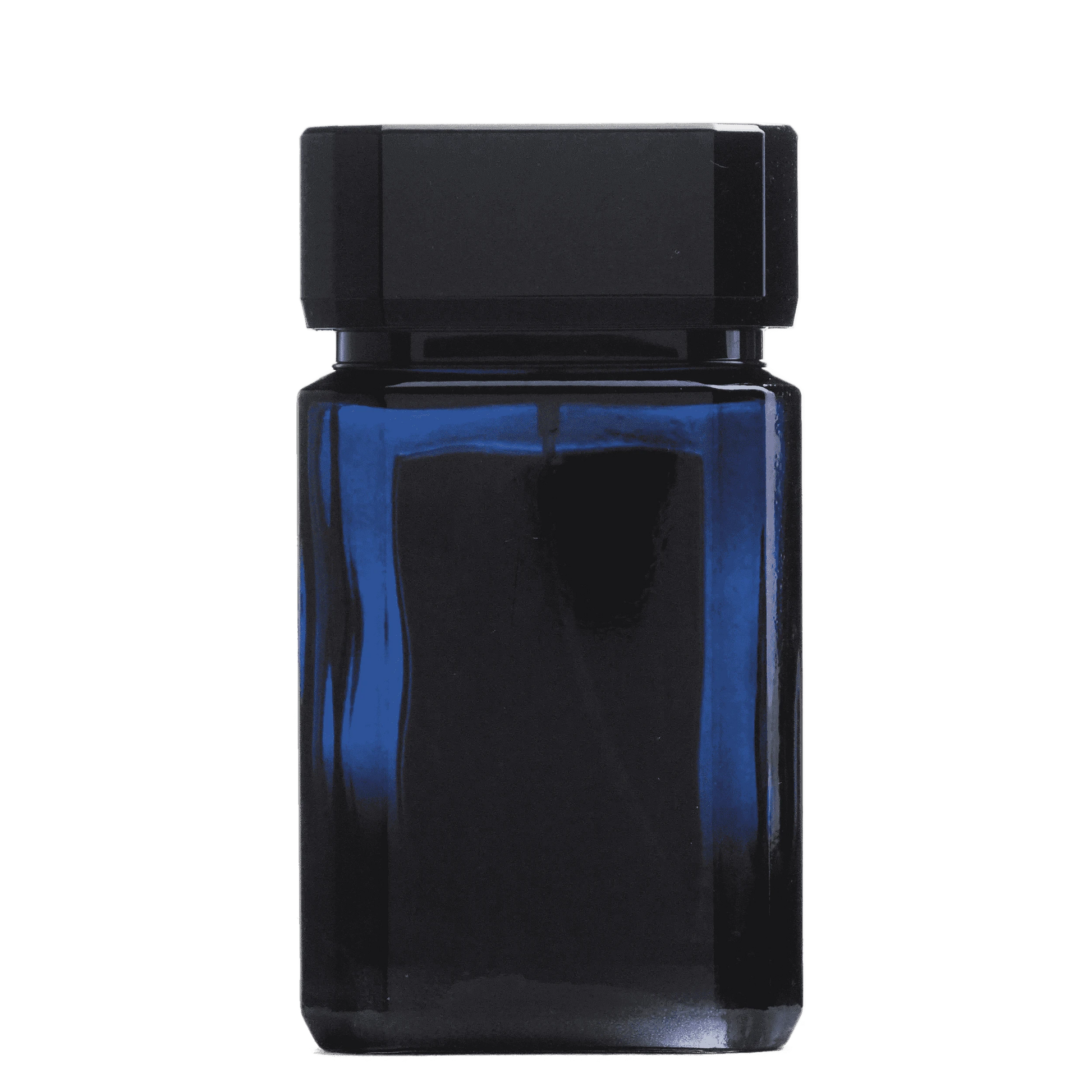 ABSOLUTE - French Factor