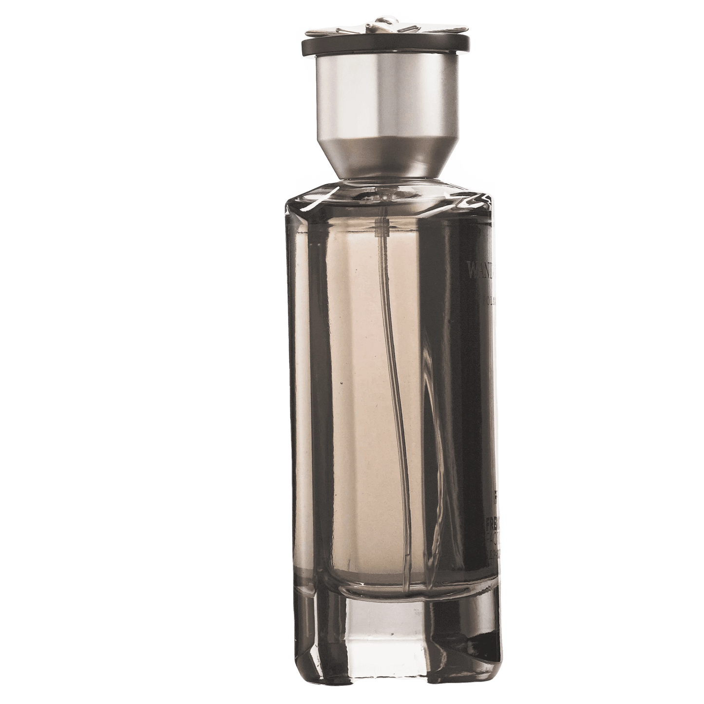 POLARIS - French Factor