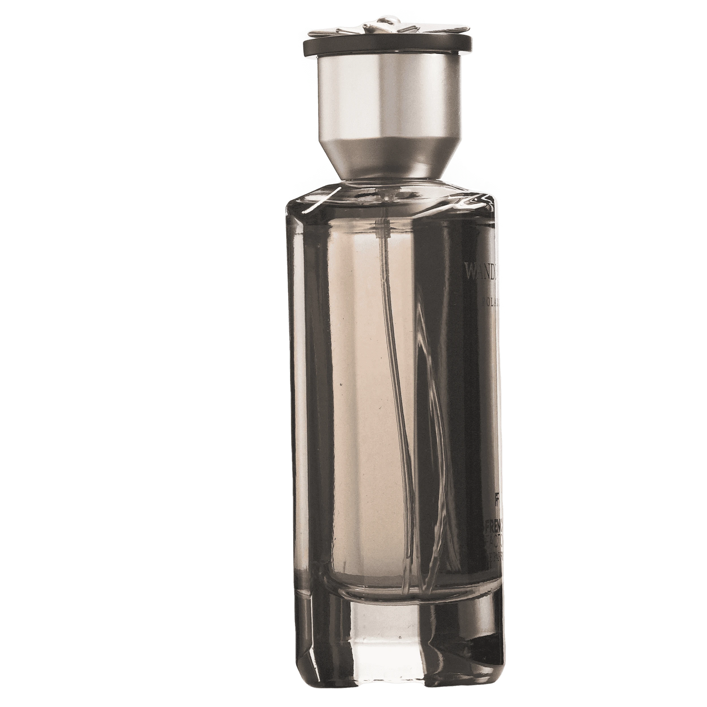 POLARIS - French Factor