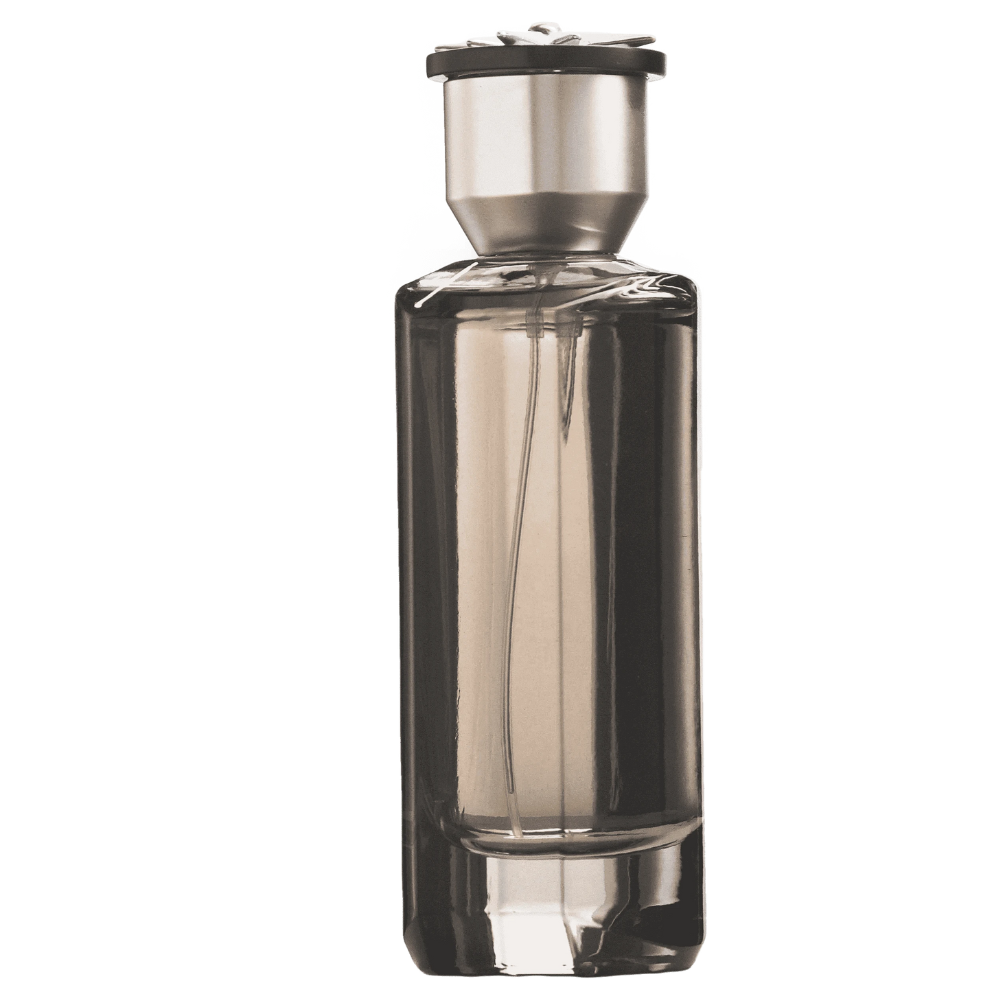 POLARIS - French Factor