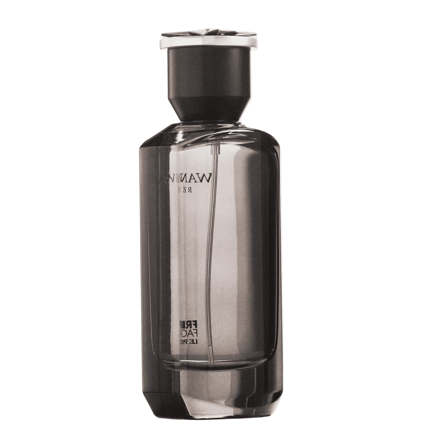 REBORN Video - French Factor