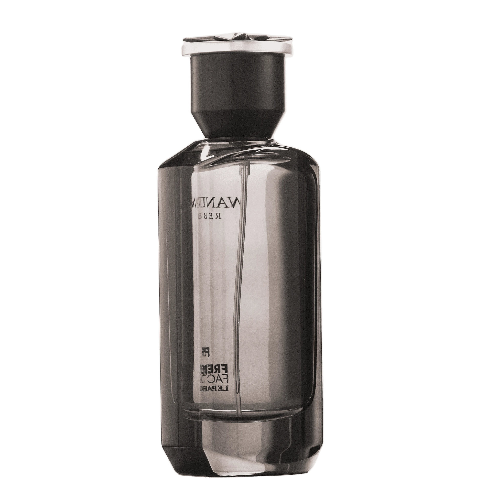 REBORN Video - French Factor