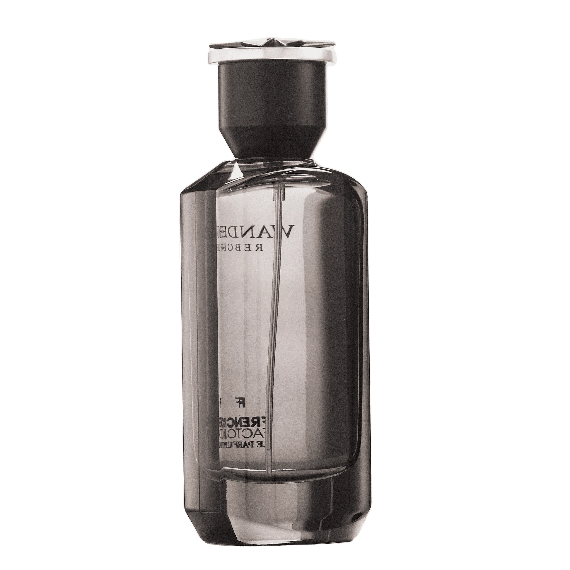 REBORN Video - French Factor