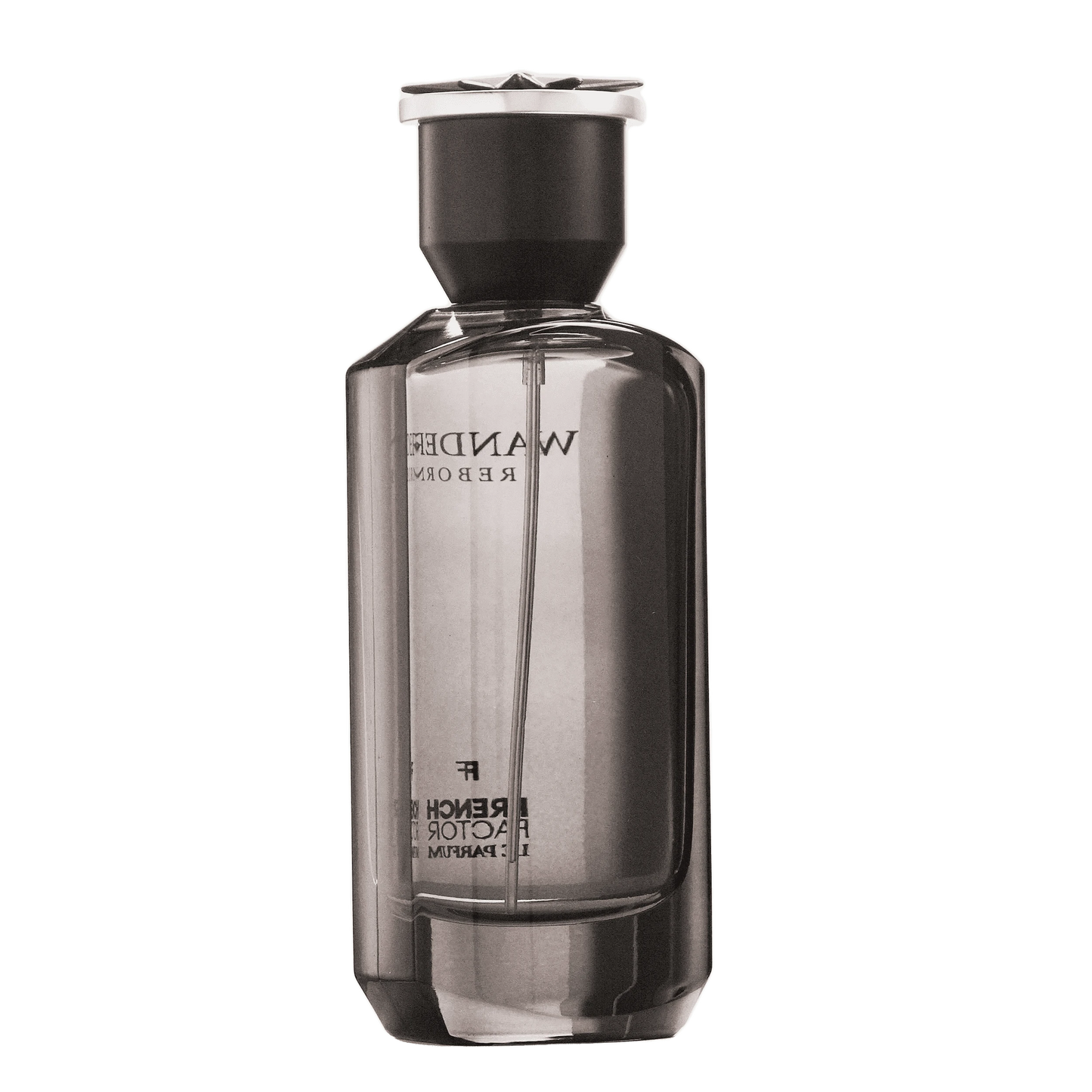 REBORN Video - French Factor