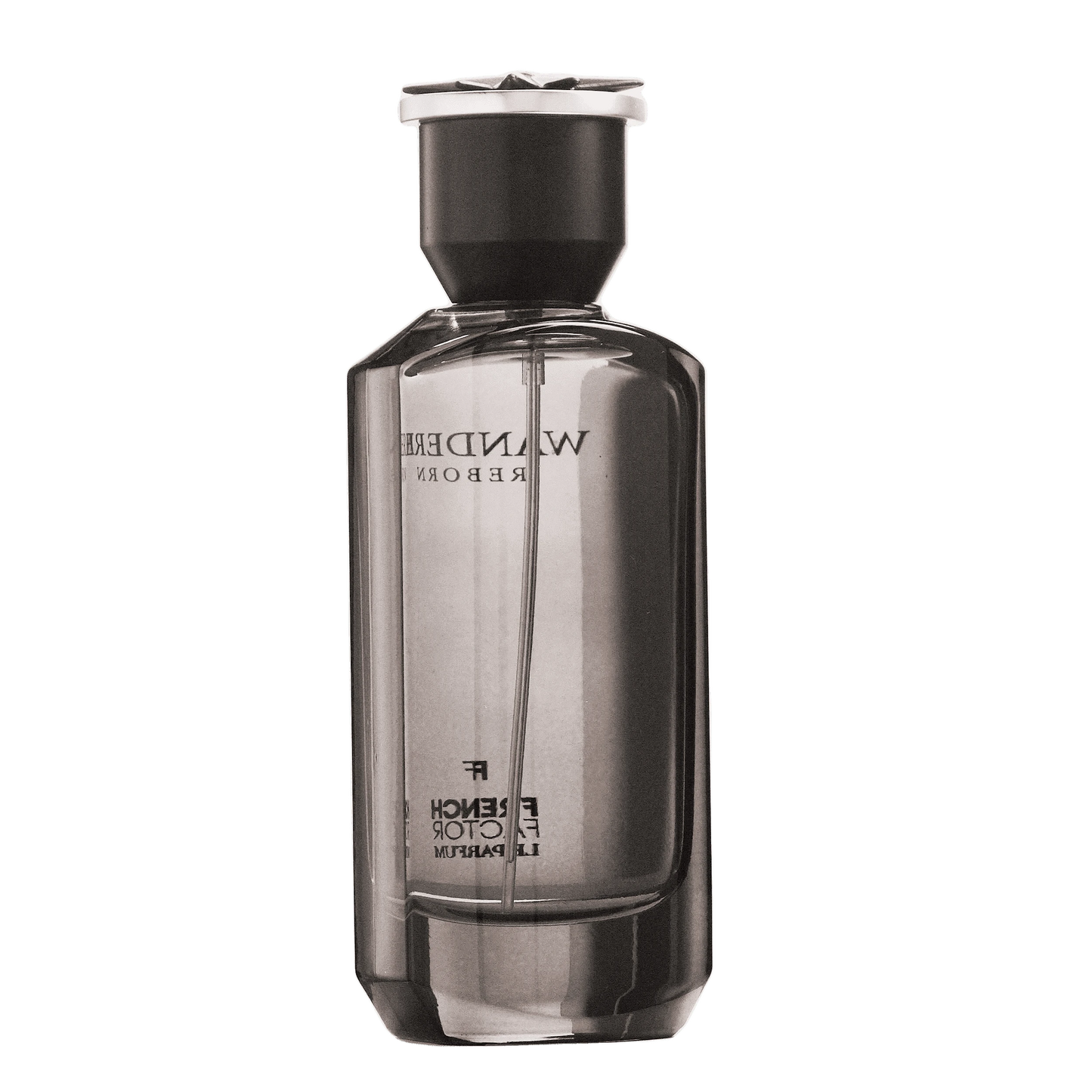 REBORN Video - French Factor