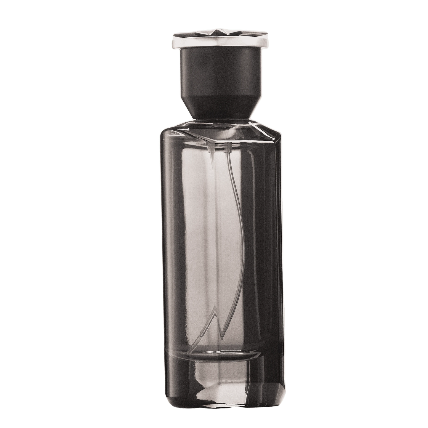 REBORN Video - French Factor