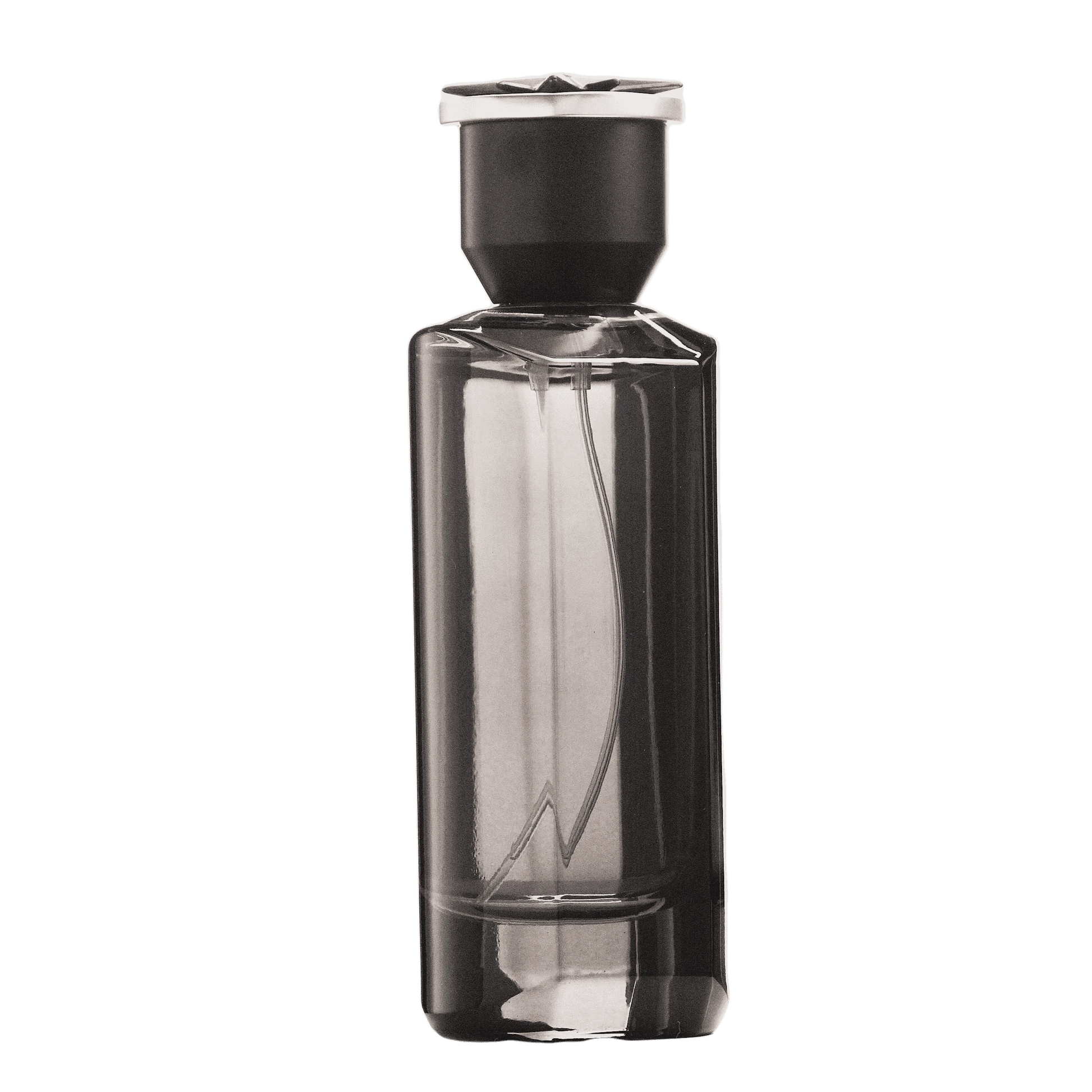 REBORN Video - French Factor