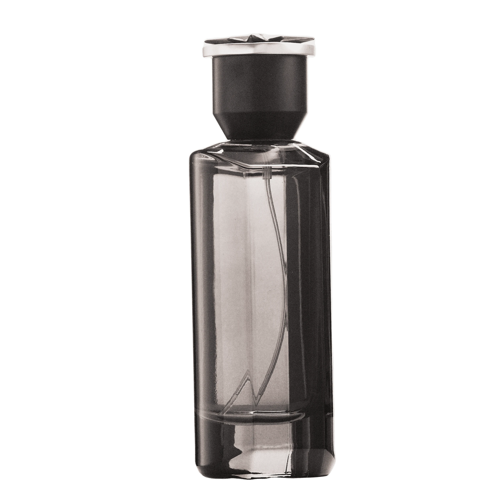 REBORN Video - French Factor