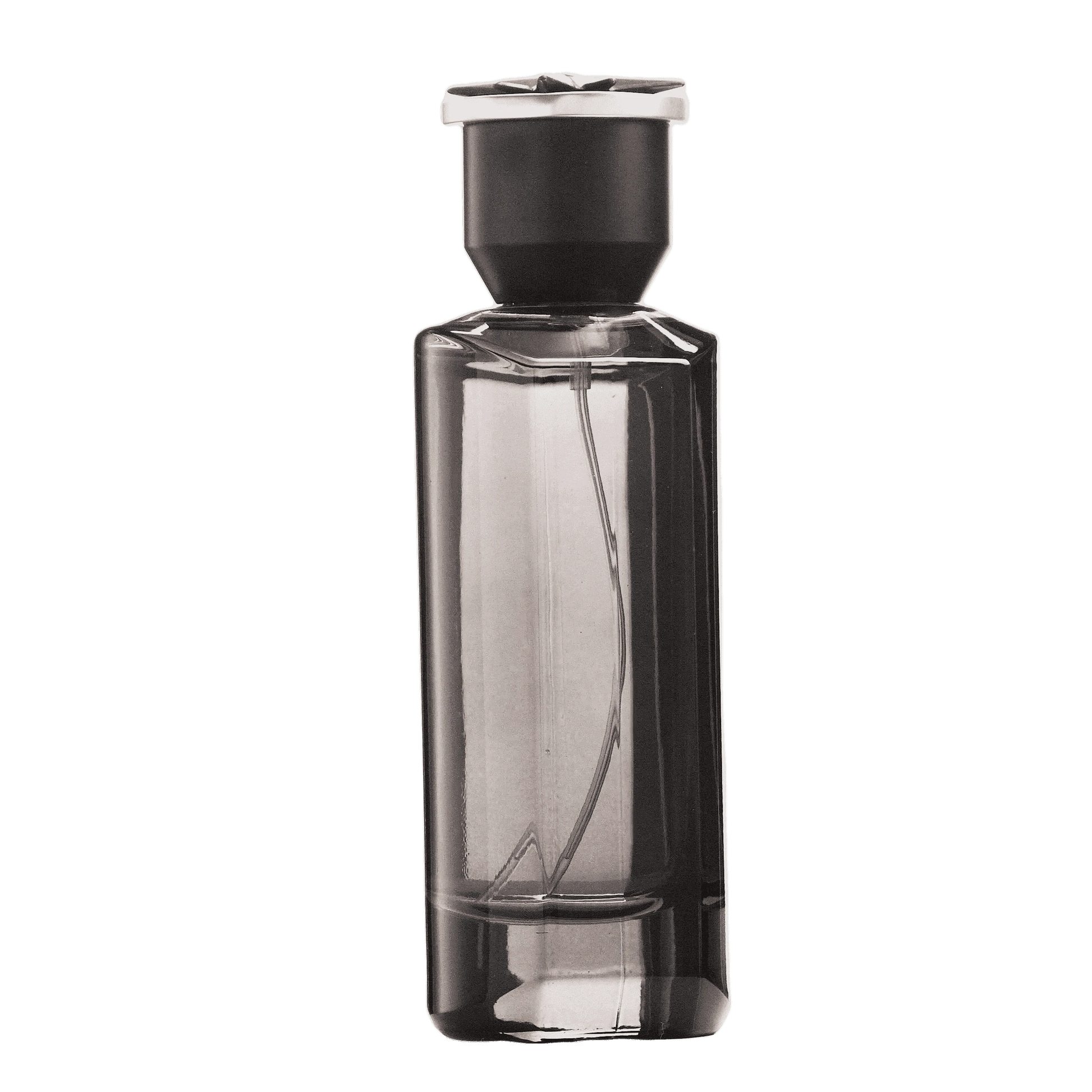 REBORN Video - French Factor