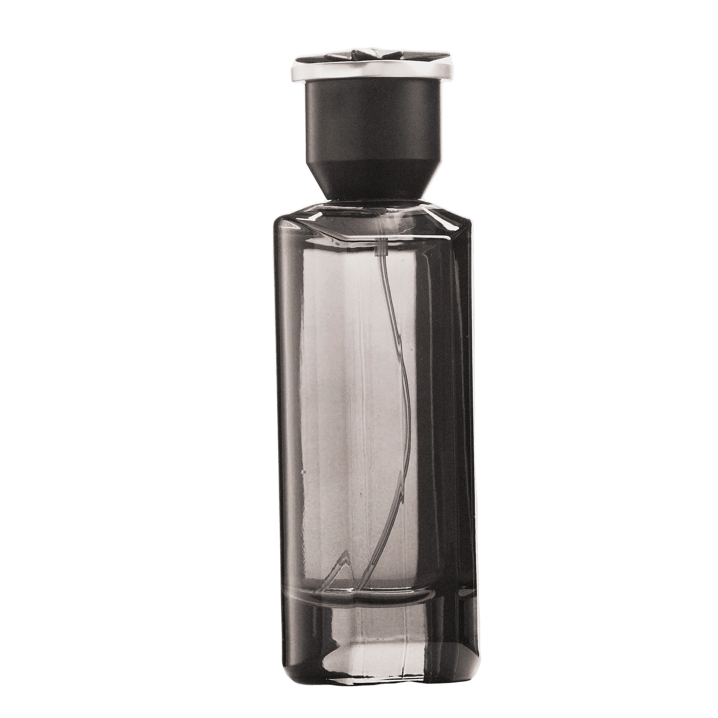 REBORN Video - French Factor