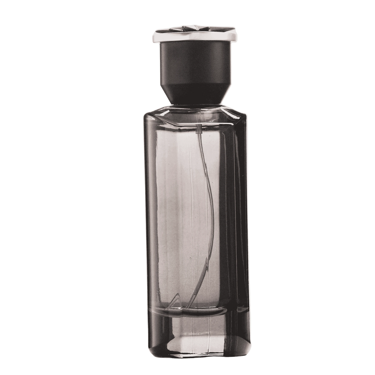 REBORN Video - French Factor