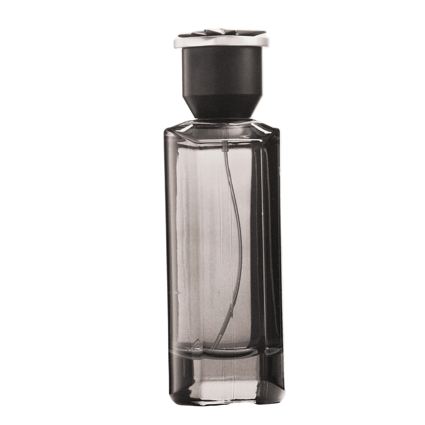 REBORN Video - French Factor