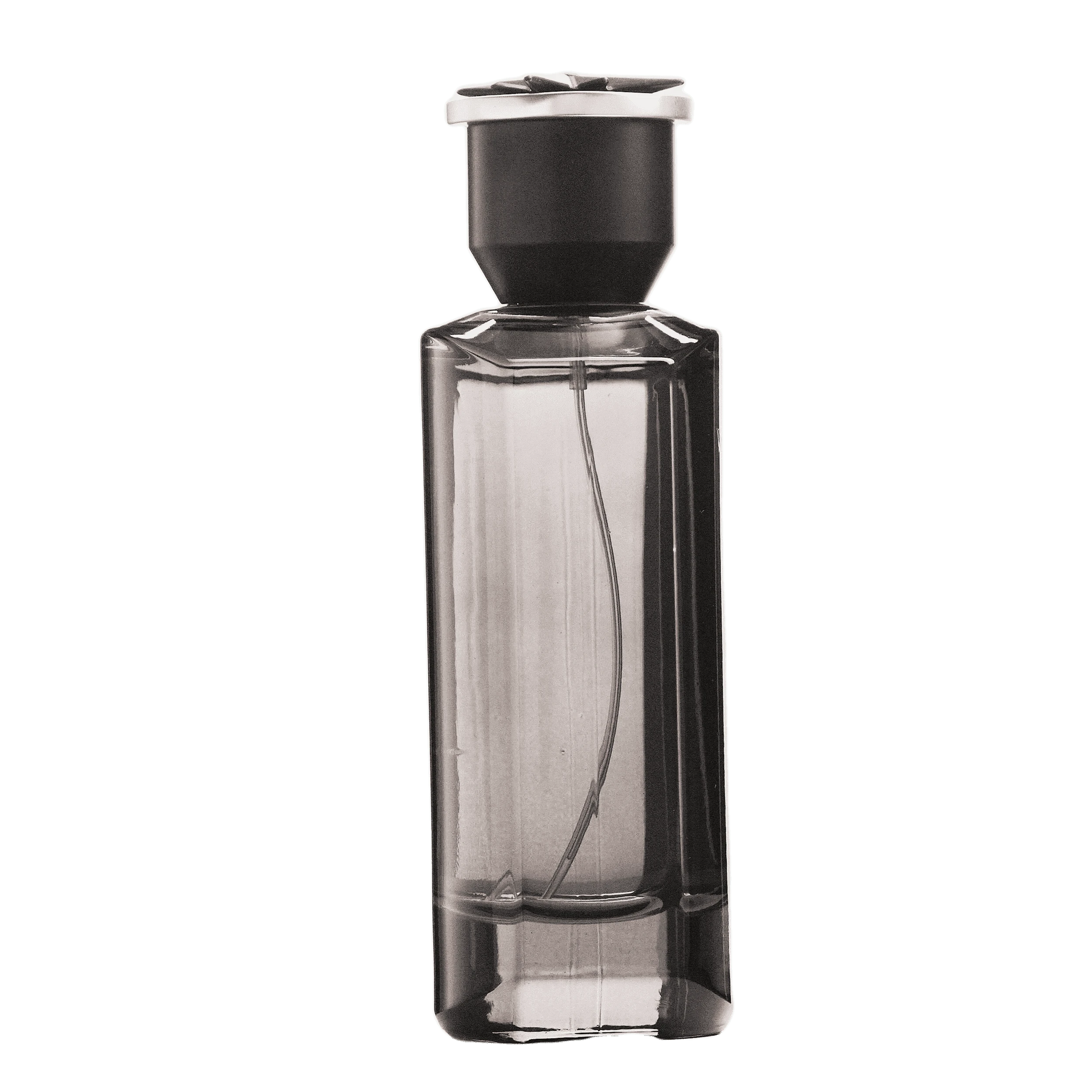 REBORN Video - French Factor