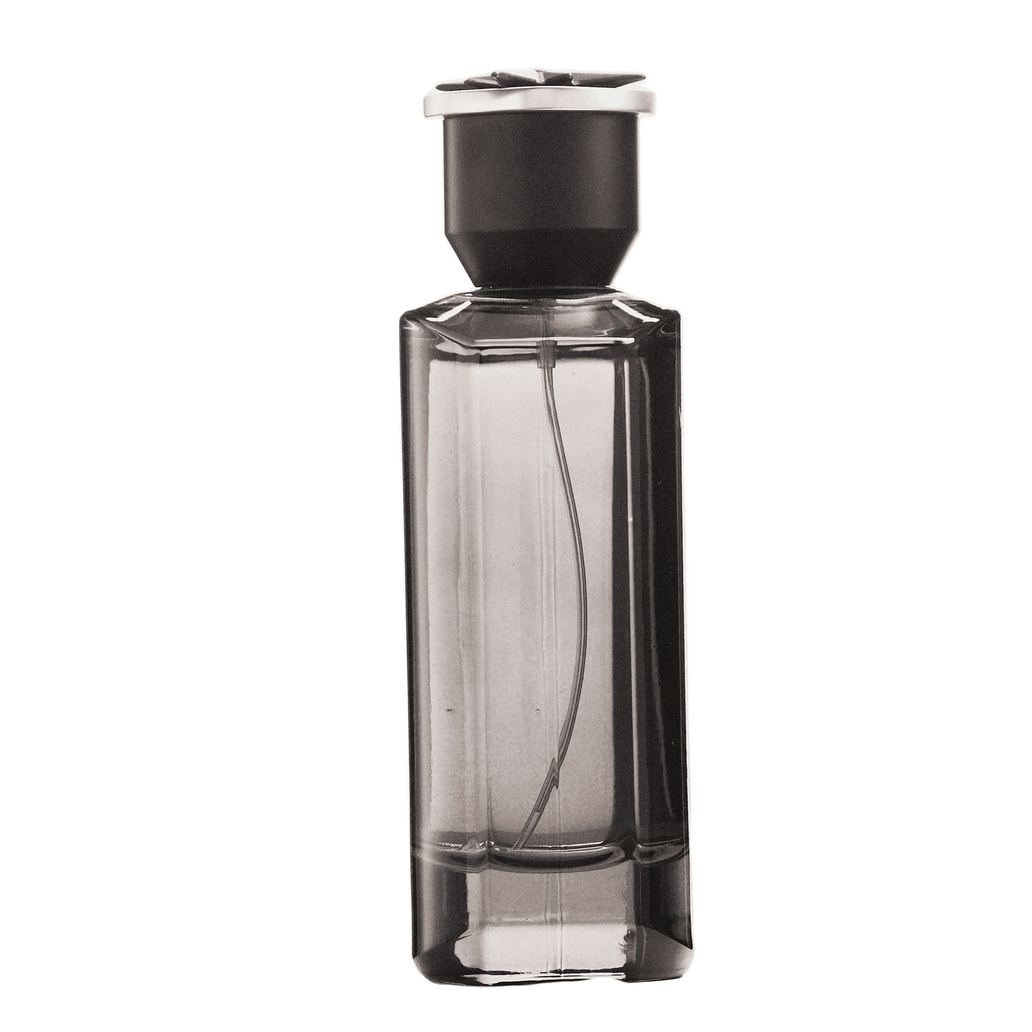 REBORN Video - French Factor