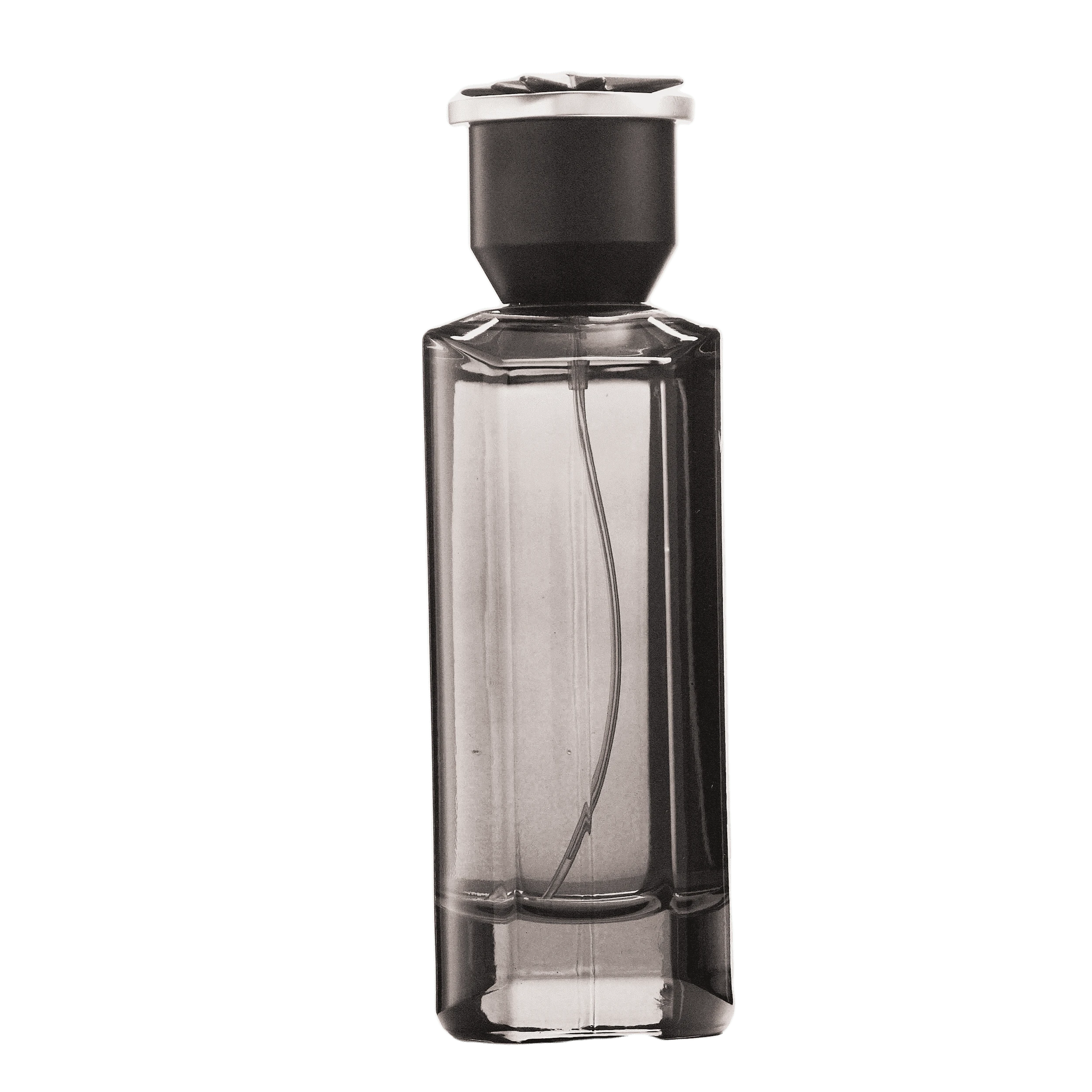 REBORN Video - French Factor