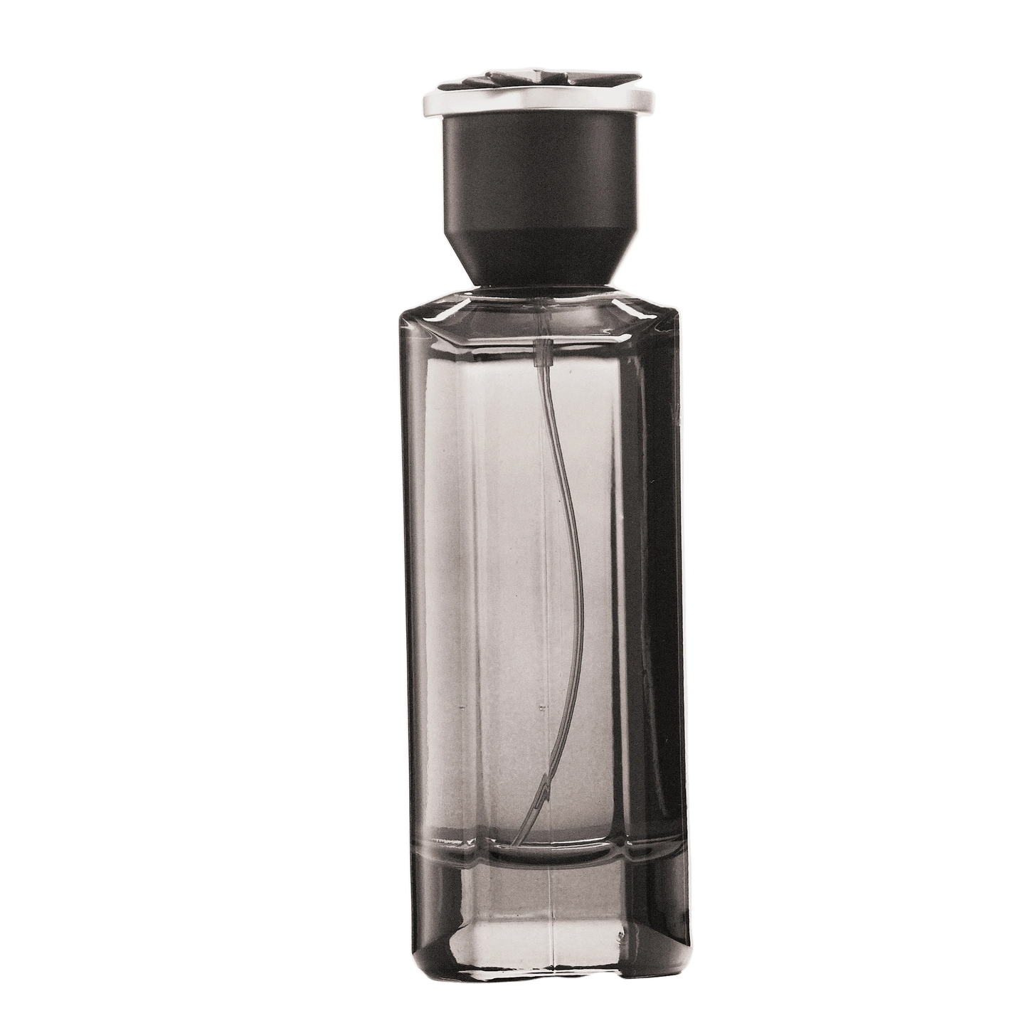 REBORN Video - French Factor