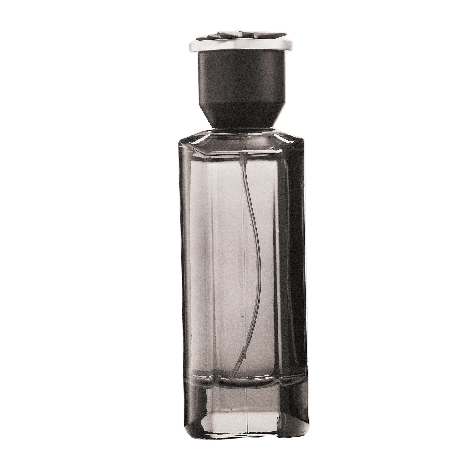 REBORN Video - French Factor