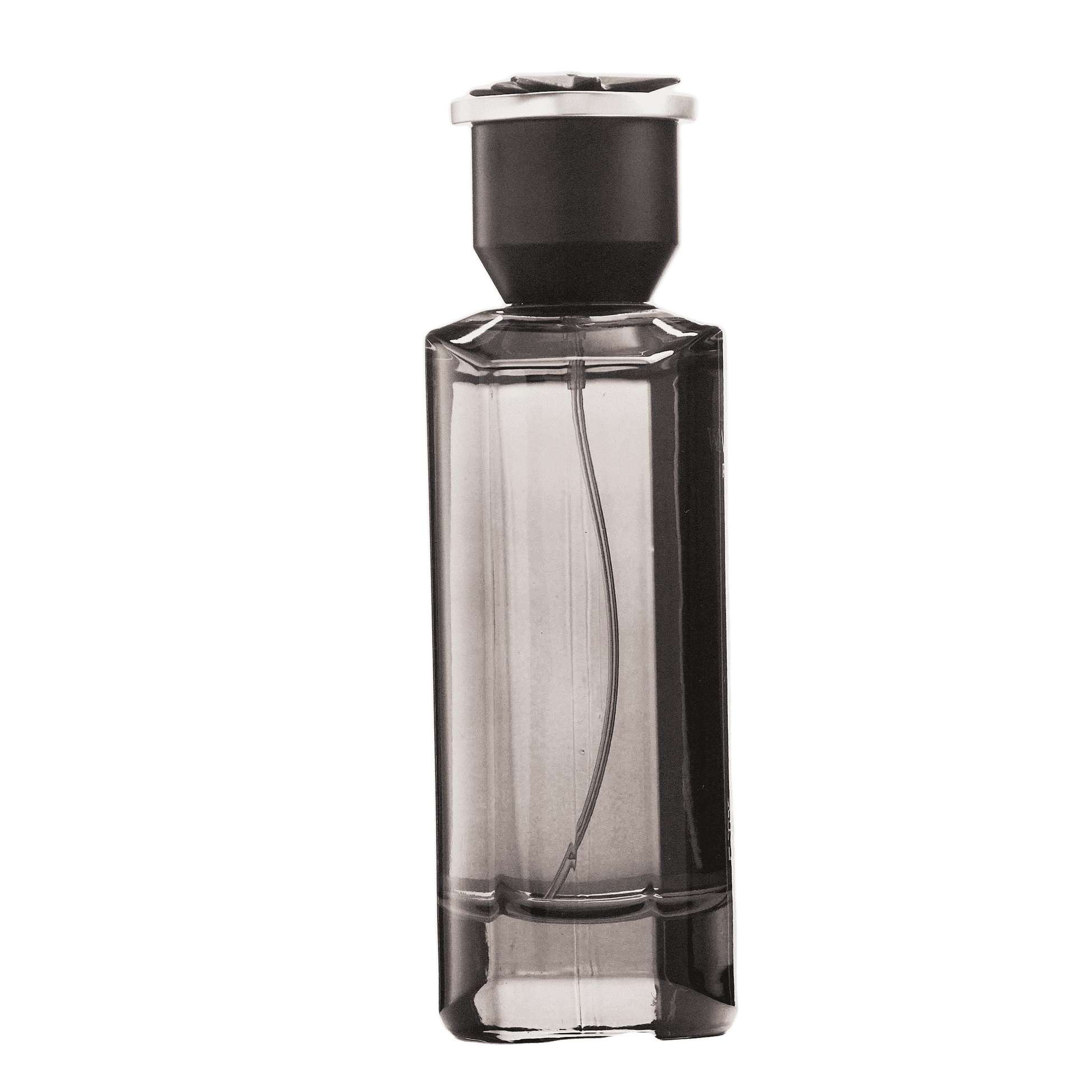 REBORN Video - French Factor