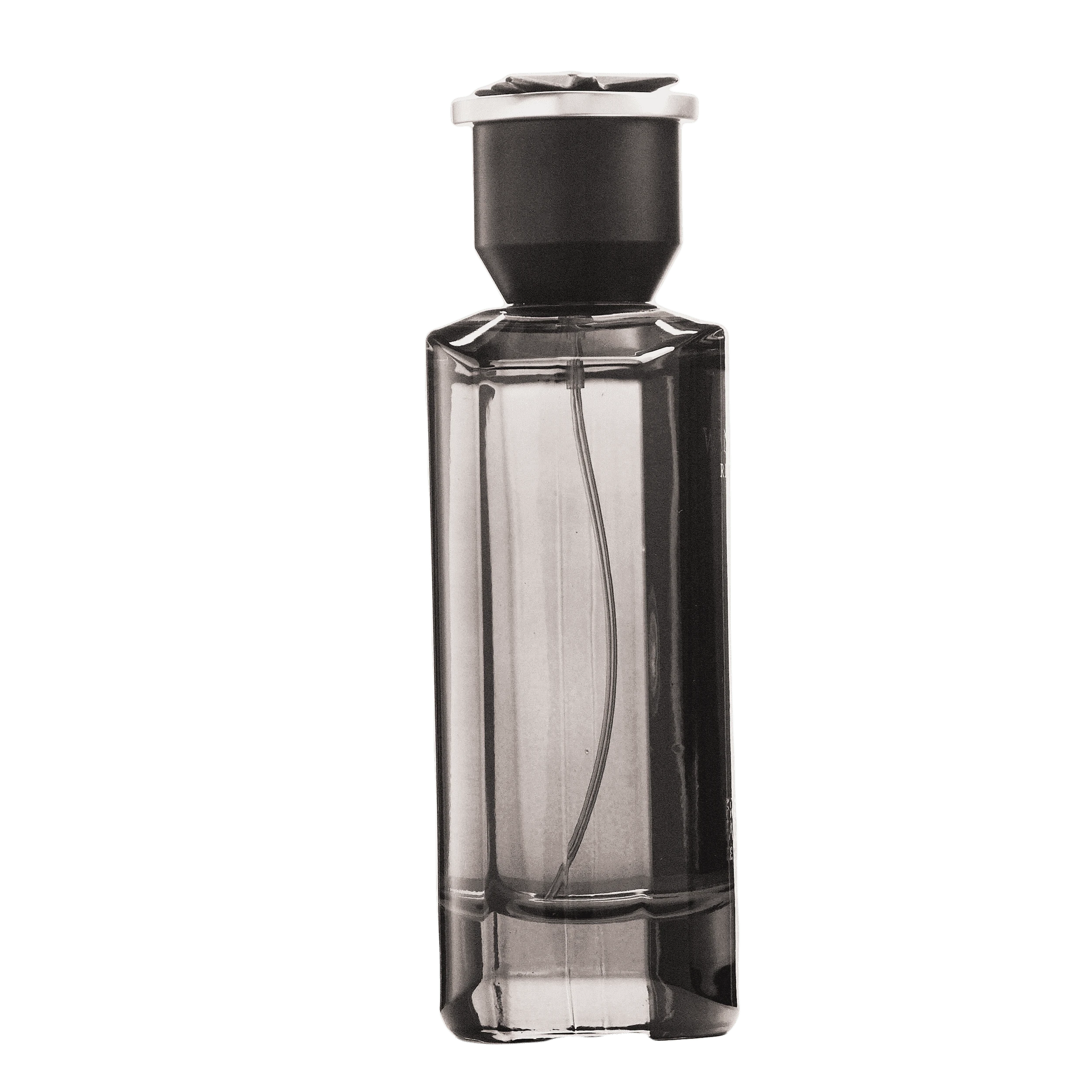 REBORN Video - French Factor