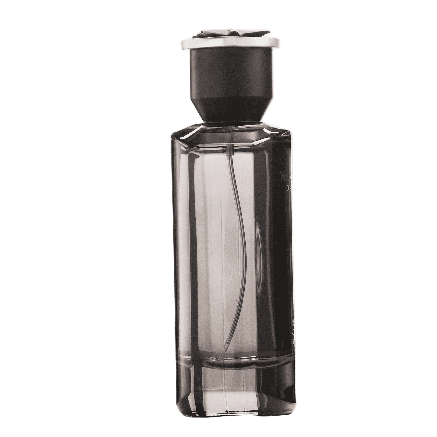 REBORN Video - French Factor