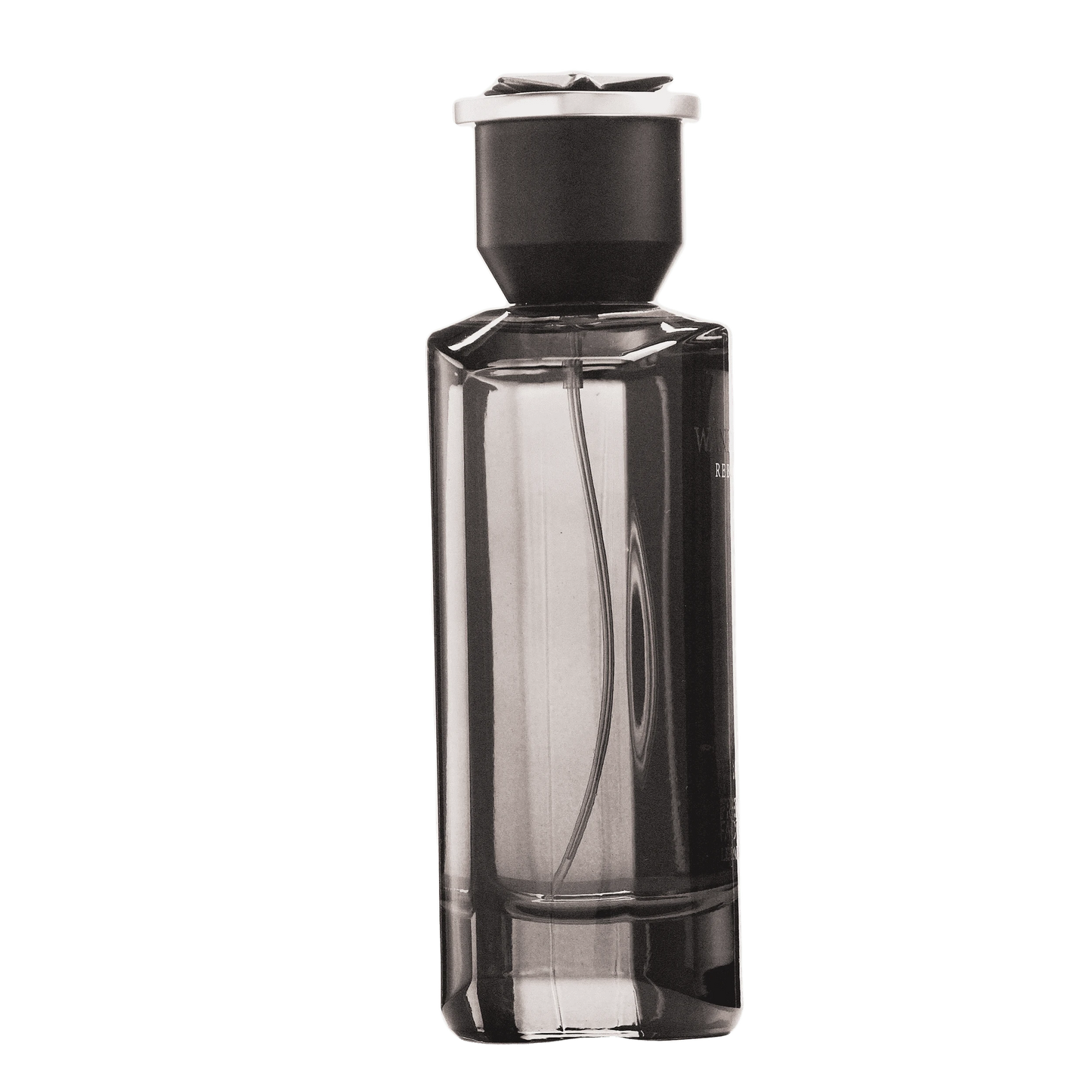 REBORN Video - French Factor