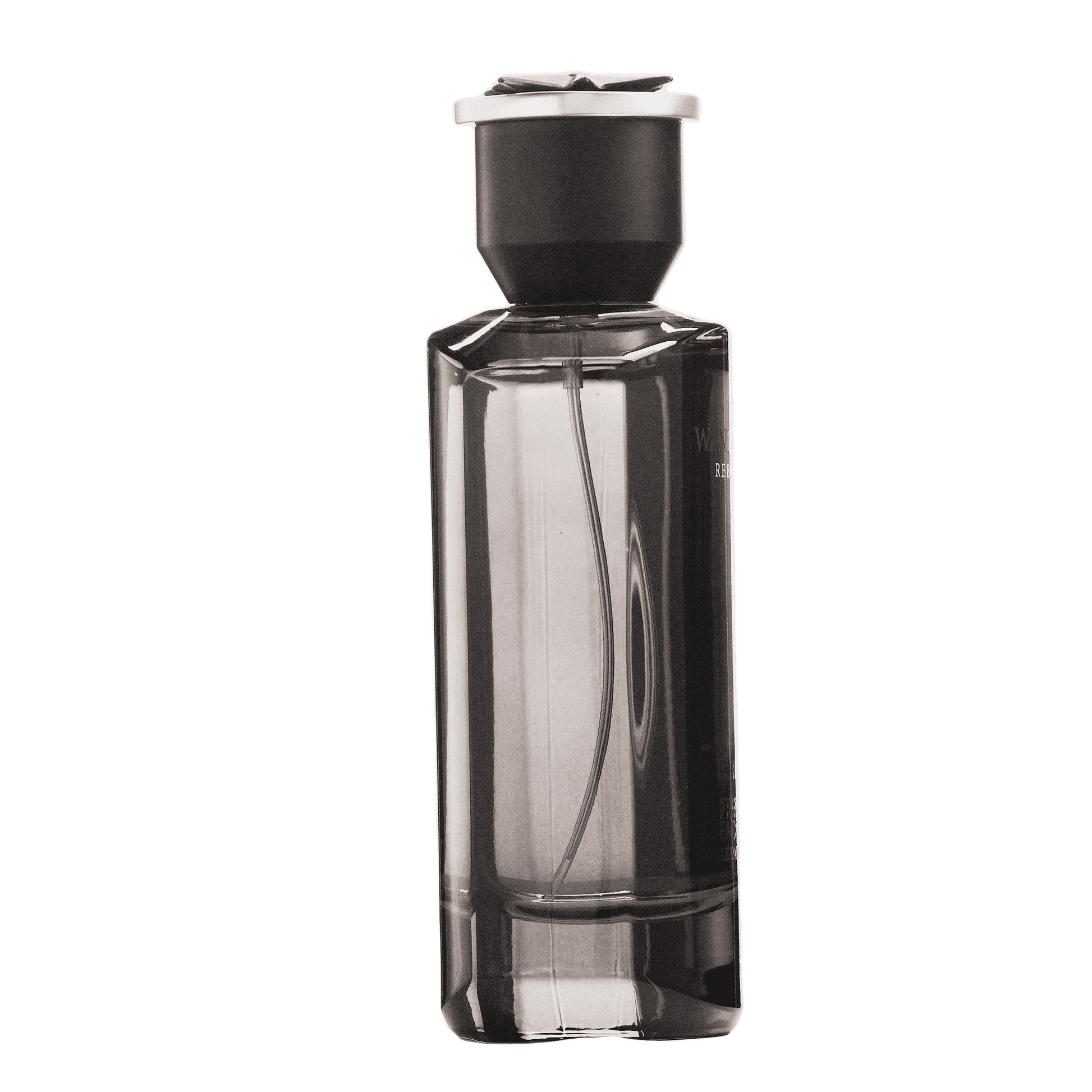 REBORN Video - French Factor