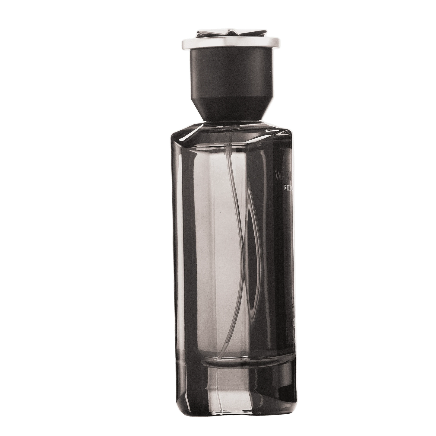 REBORN Video - French Factor