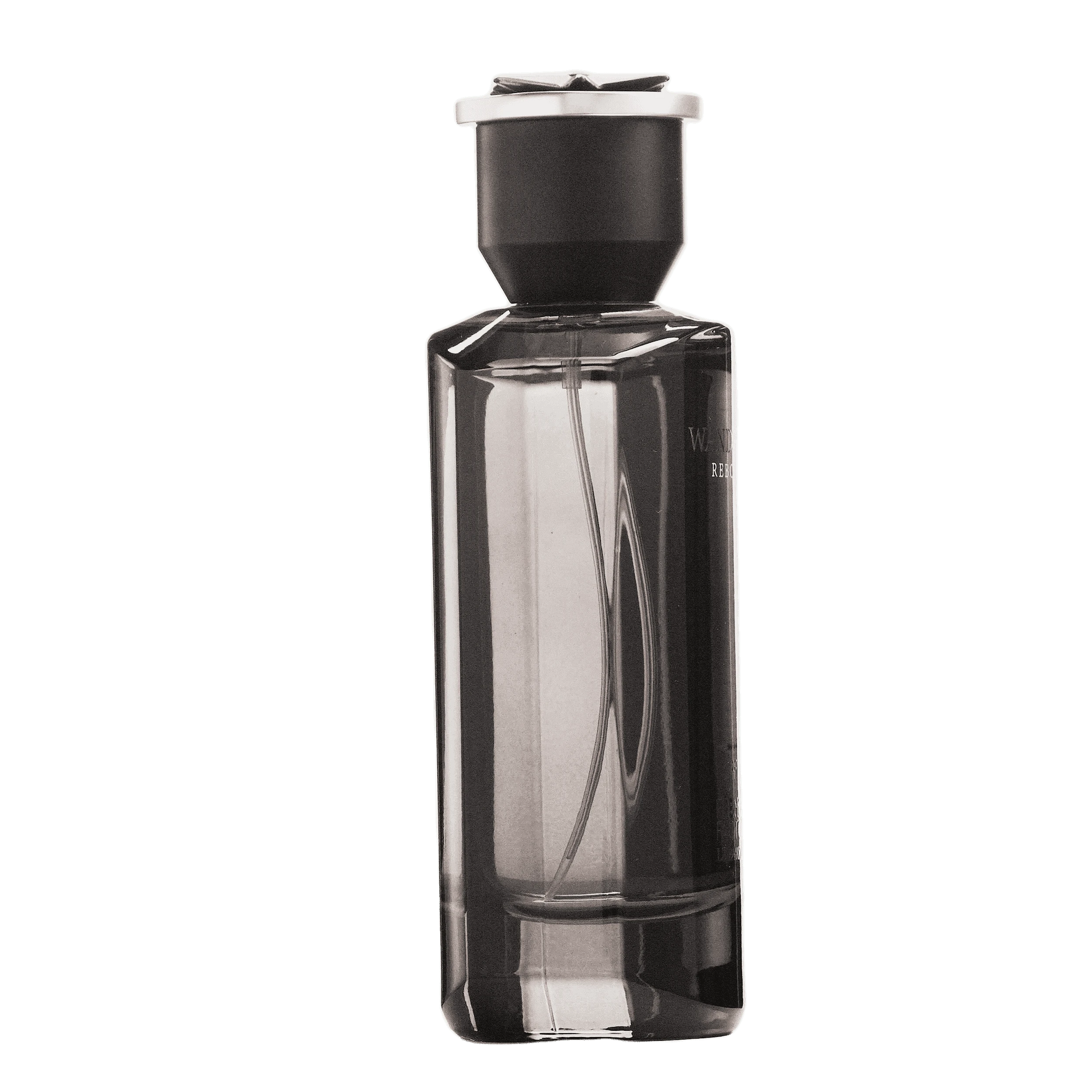 REBORN Video - French Factor