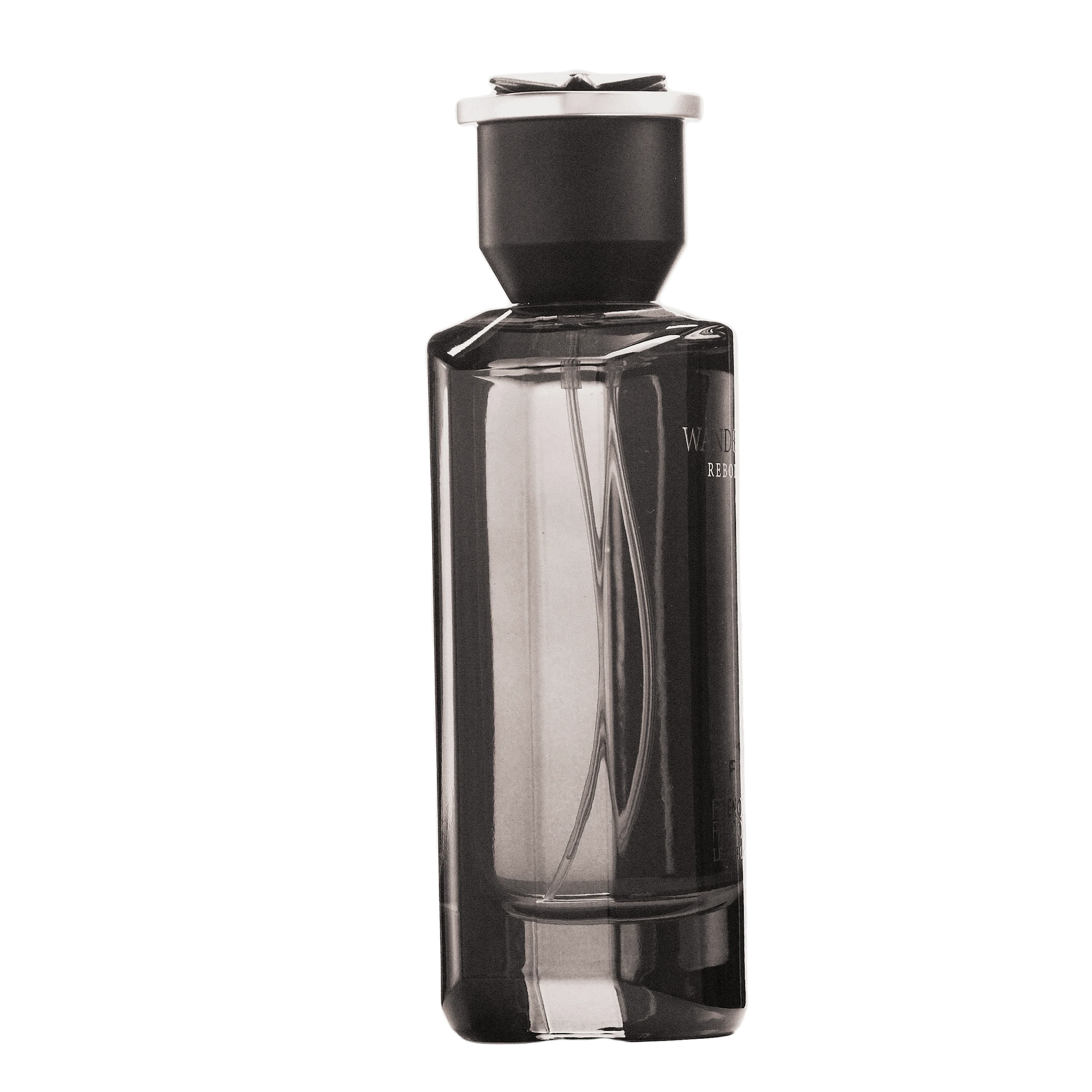 REBORN Video - French Factor