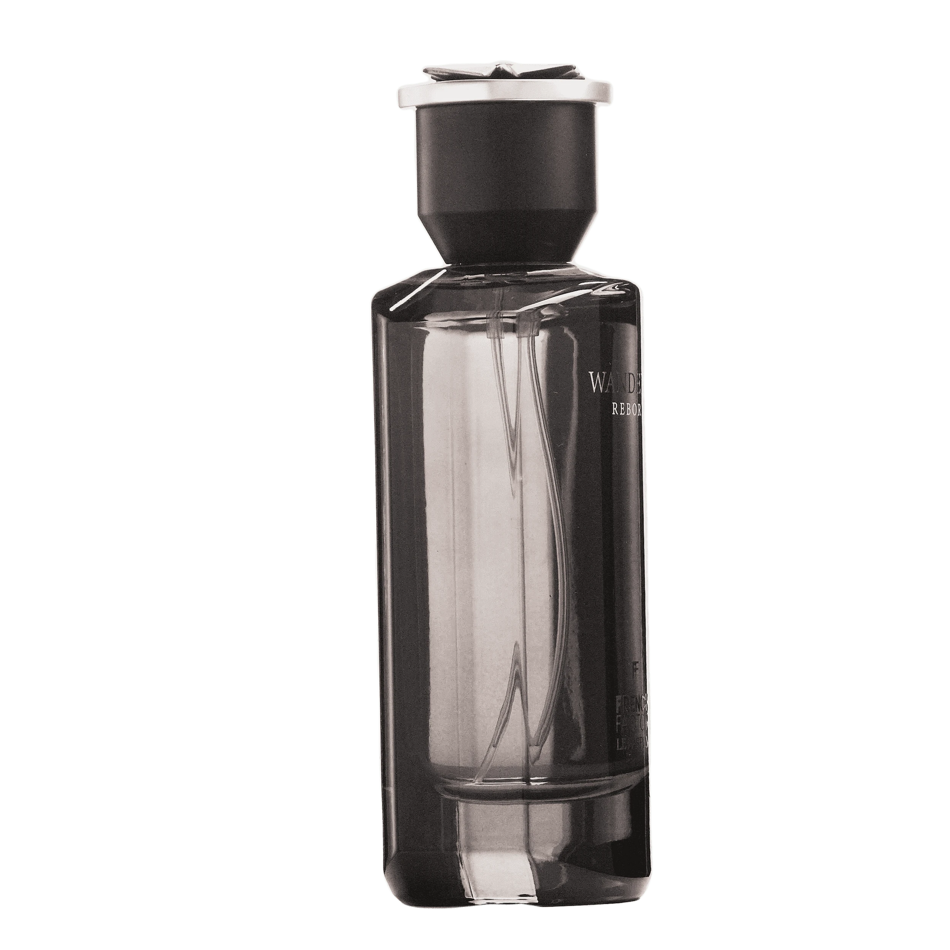 REBORN Video - French Factor