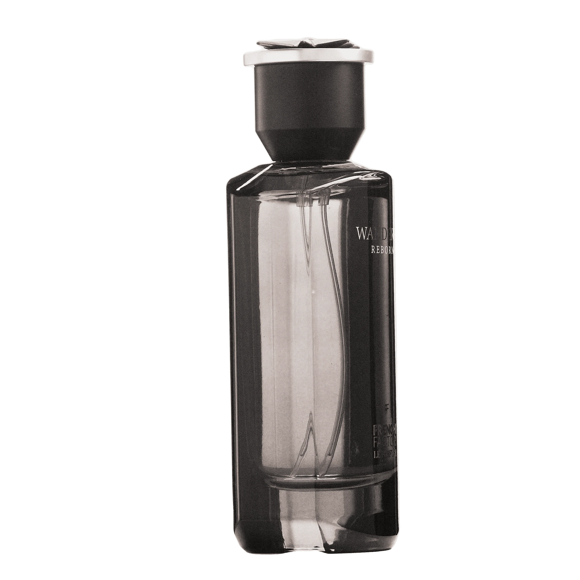 REBORN Video - French Factor