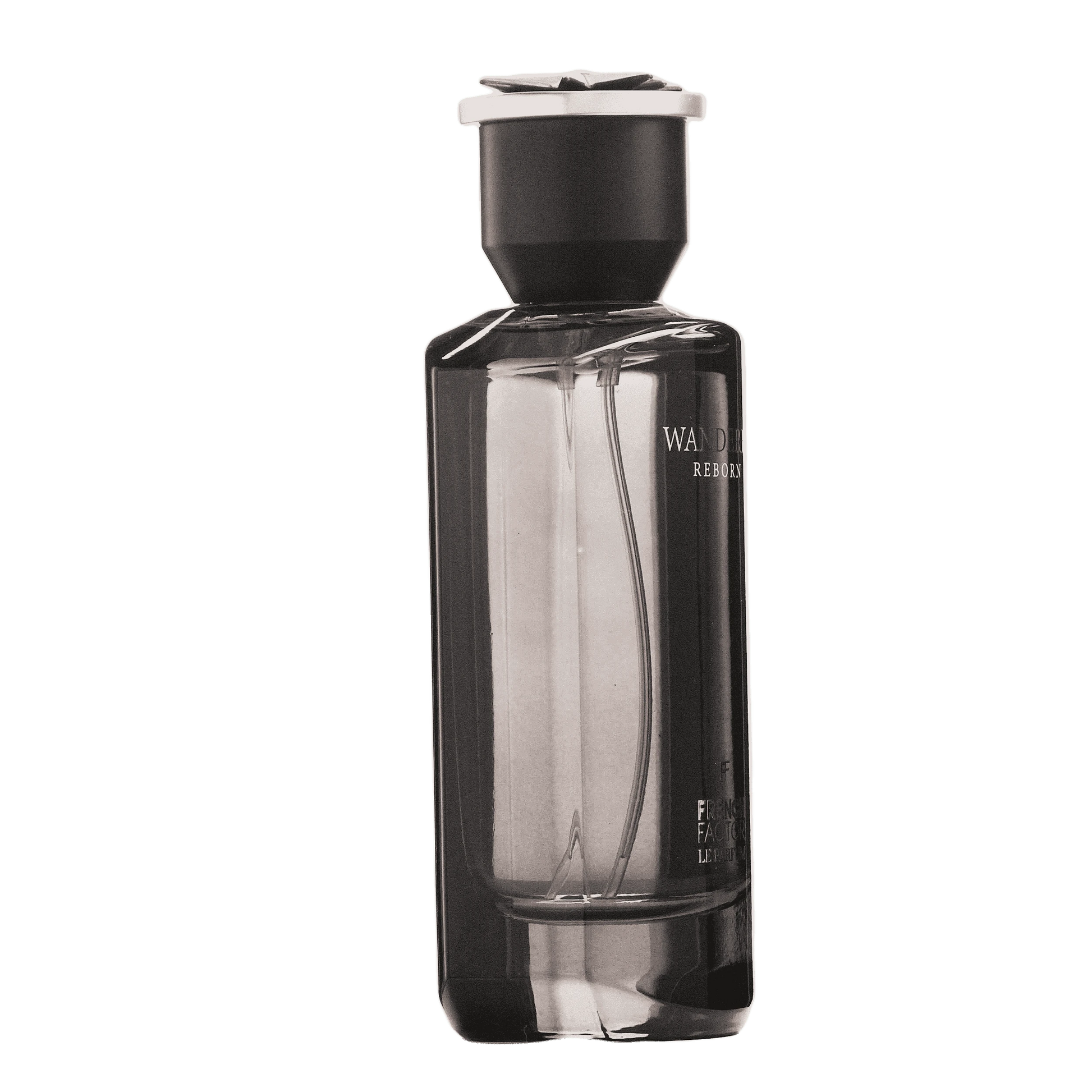 REBORN Video - French Factor