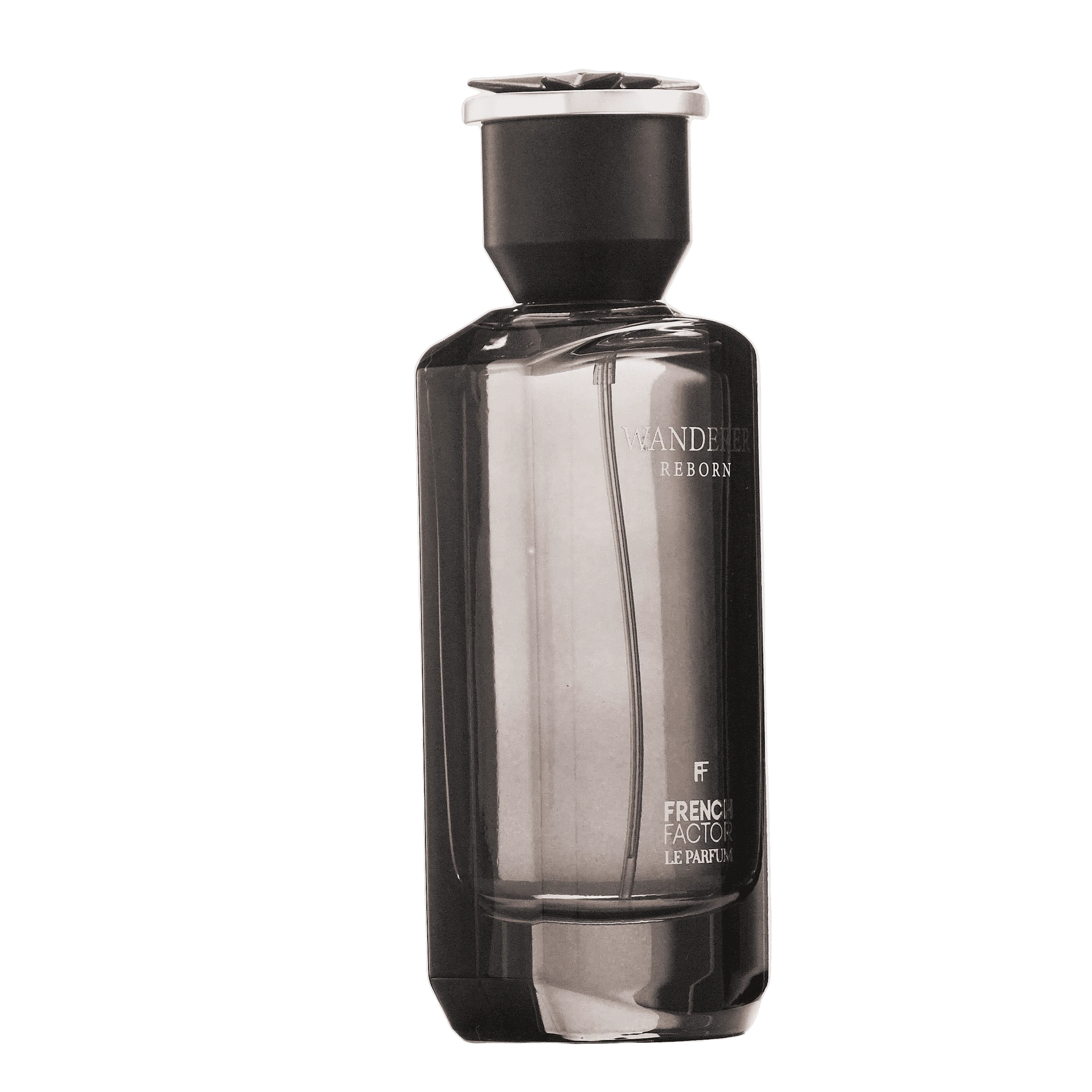 REBORN Video - French Factor