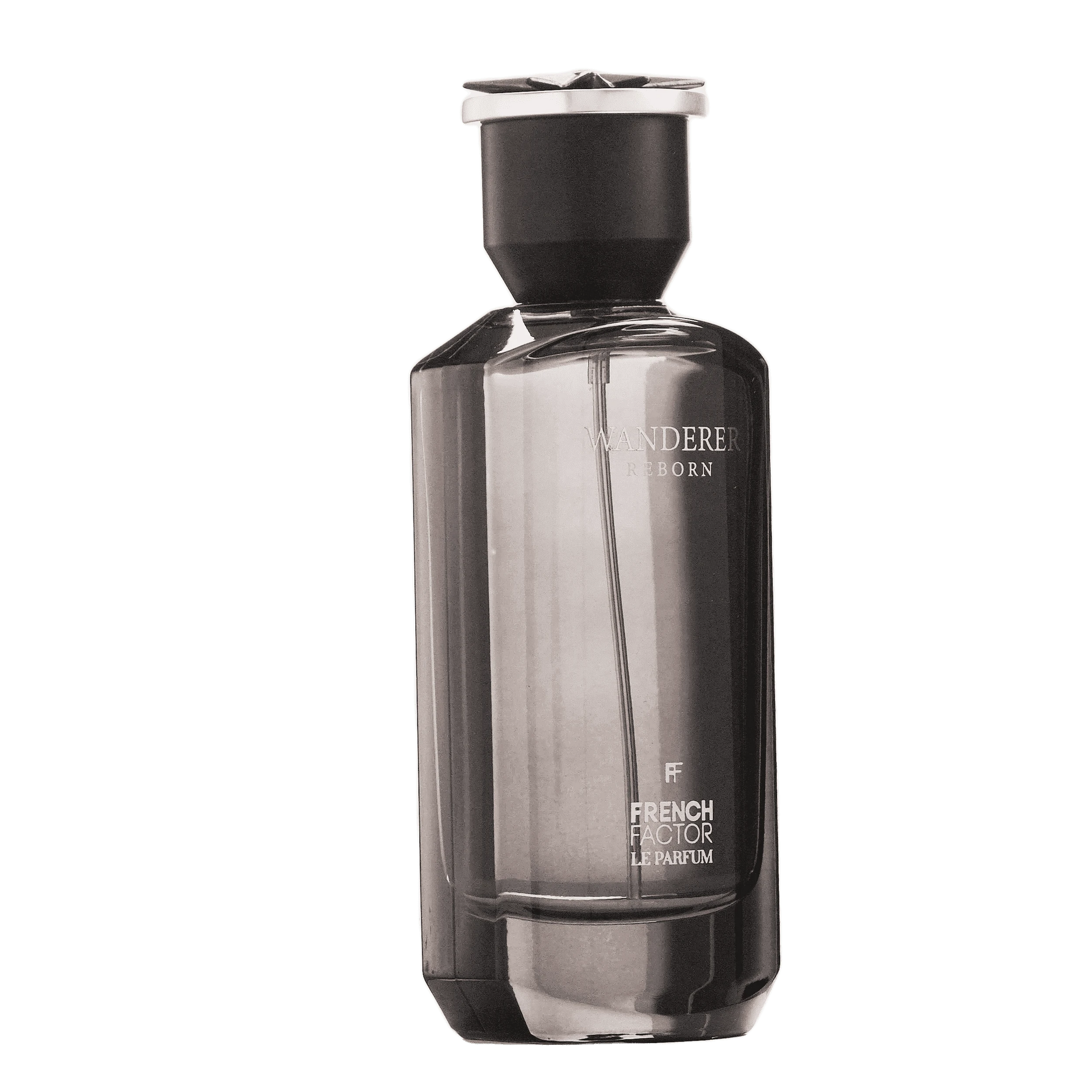 REBORN Video - French Factor