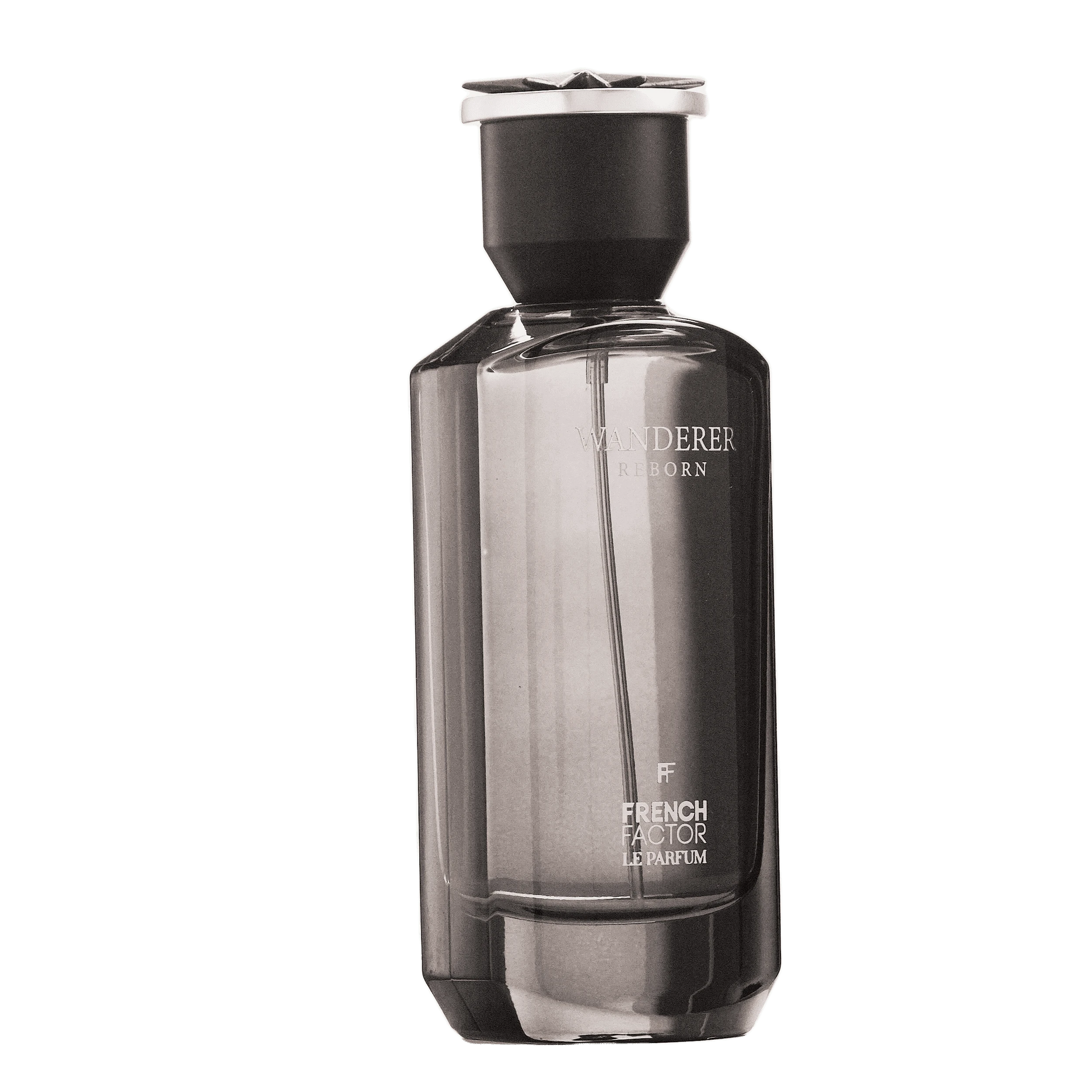 REBORN Video - French Factor