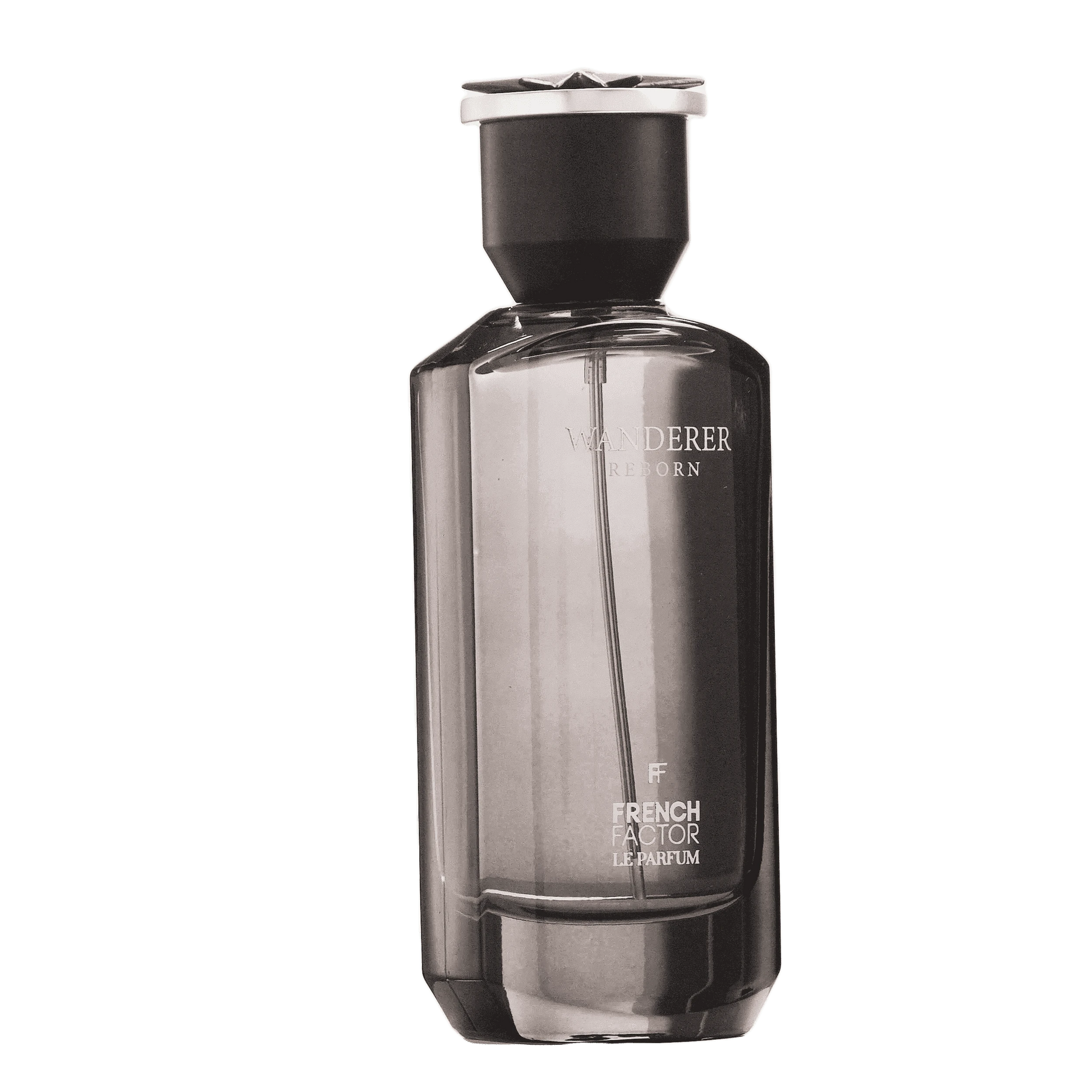 REBORN Video - French Factor