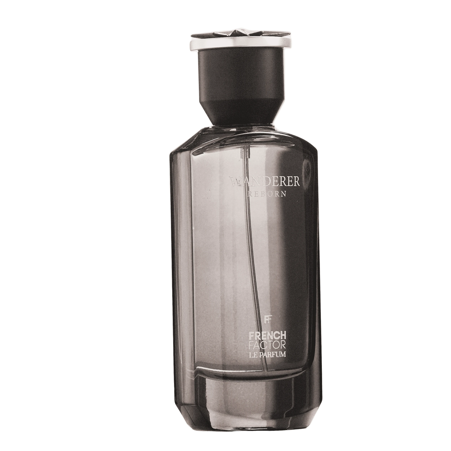 REBORN Video - French Factor