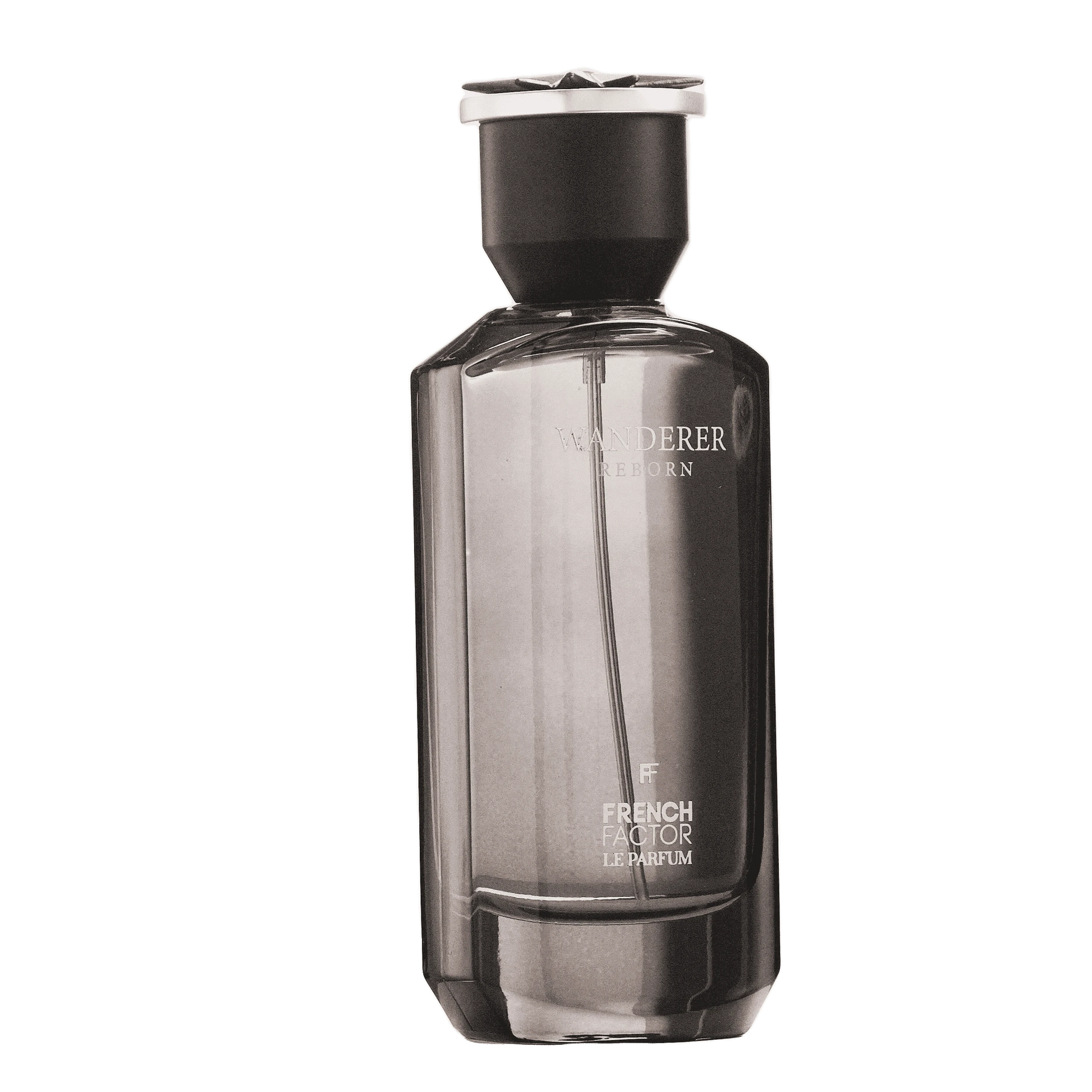 REBORN Video - French Factor