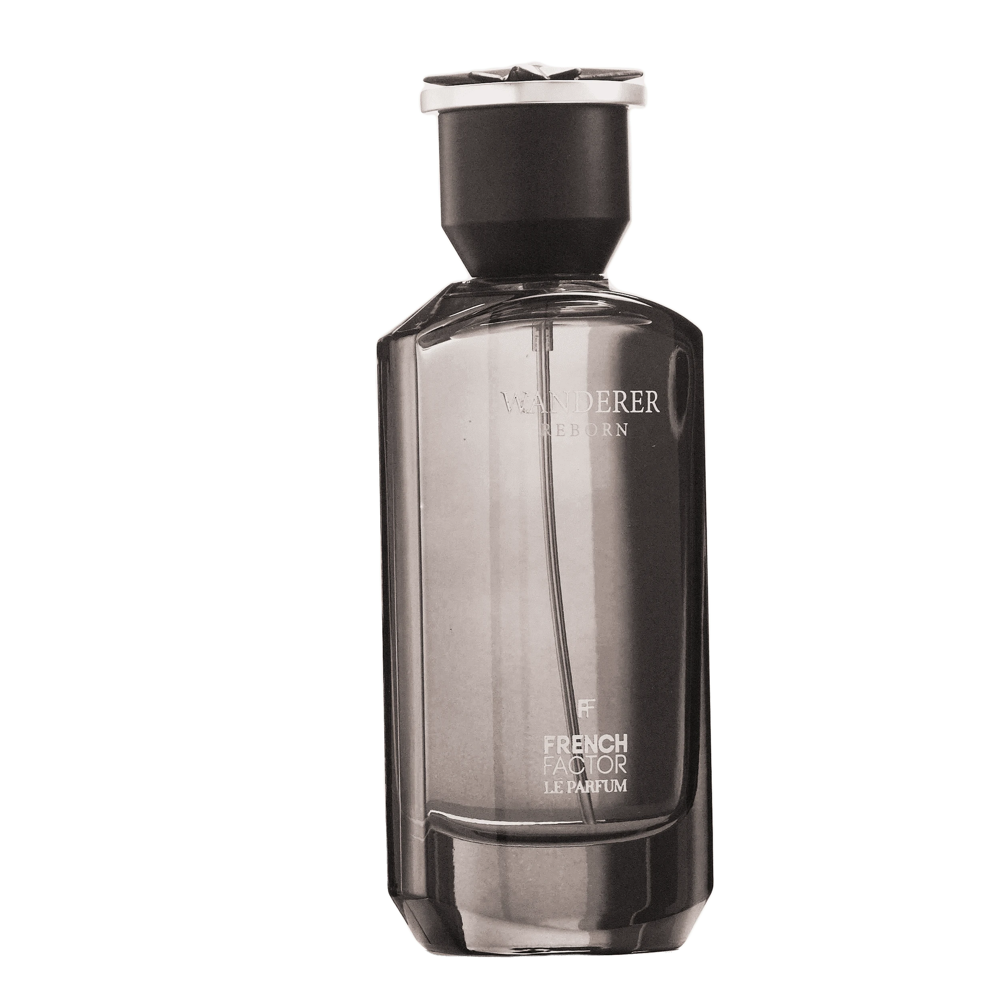 REBORN Video - French Factor