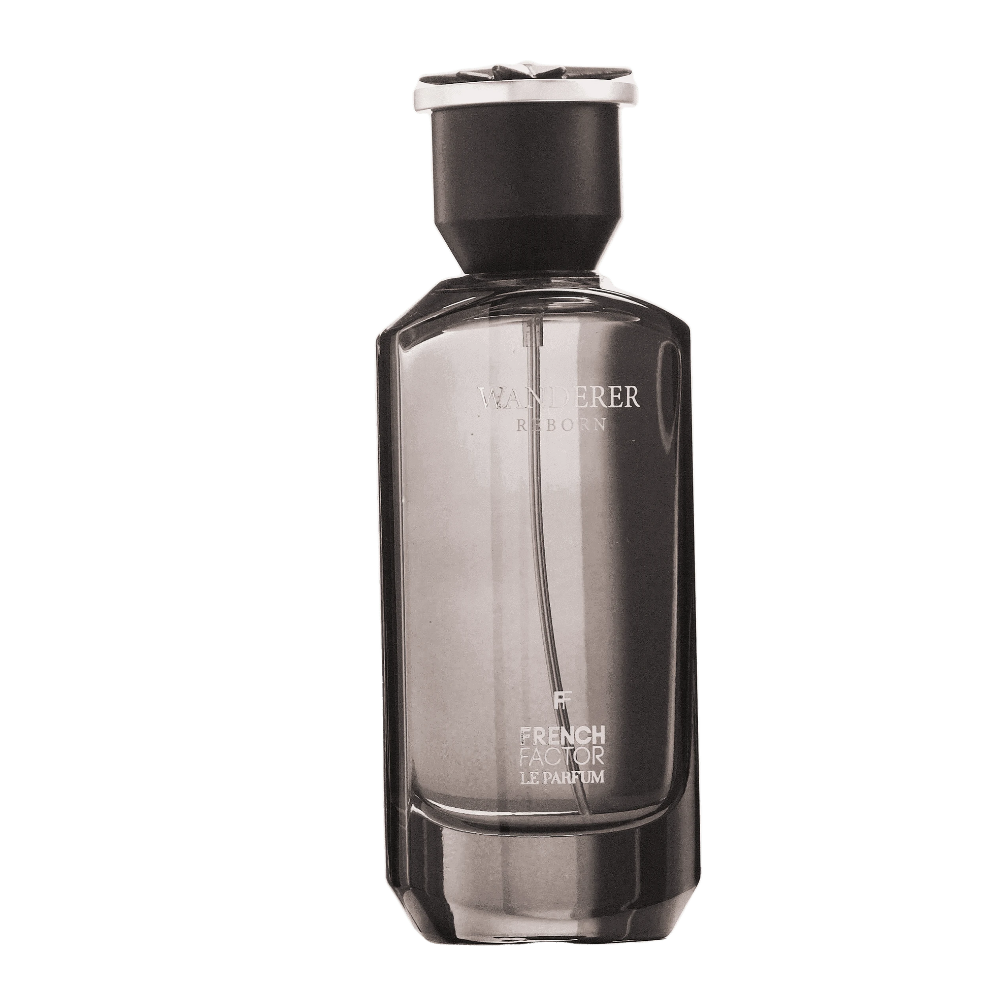 REBORN Video - French Factor