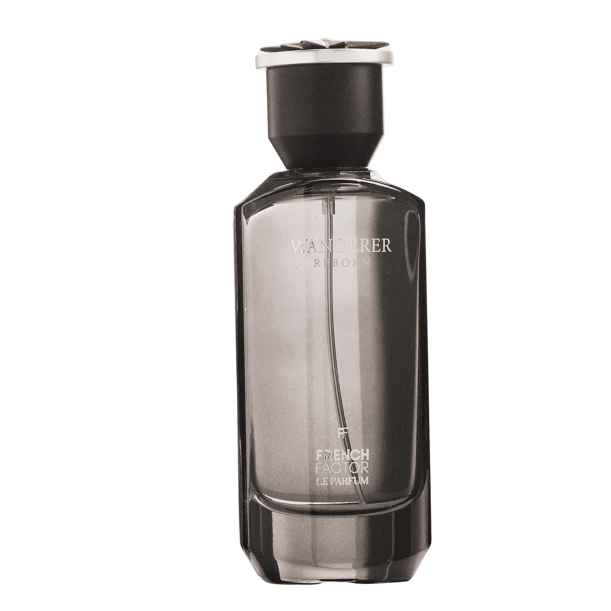 REBORN Video - French Factor