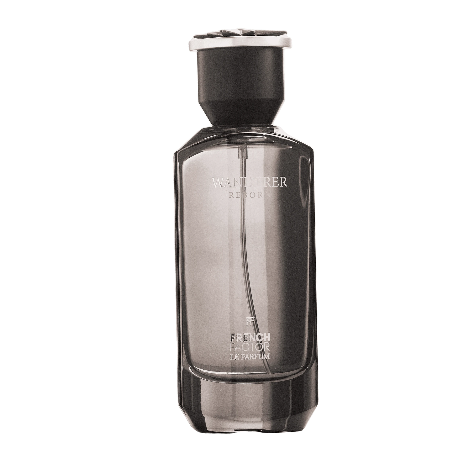 REBORN Video - French Factor