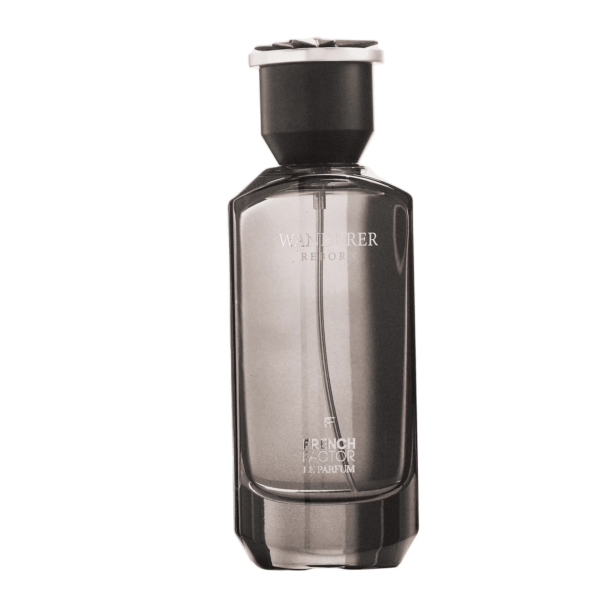 REBORN Video - French Factor