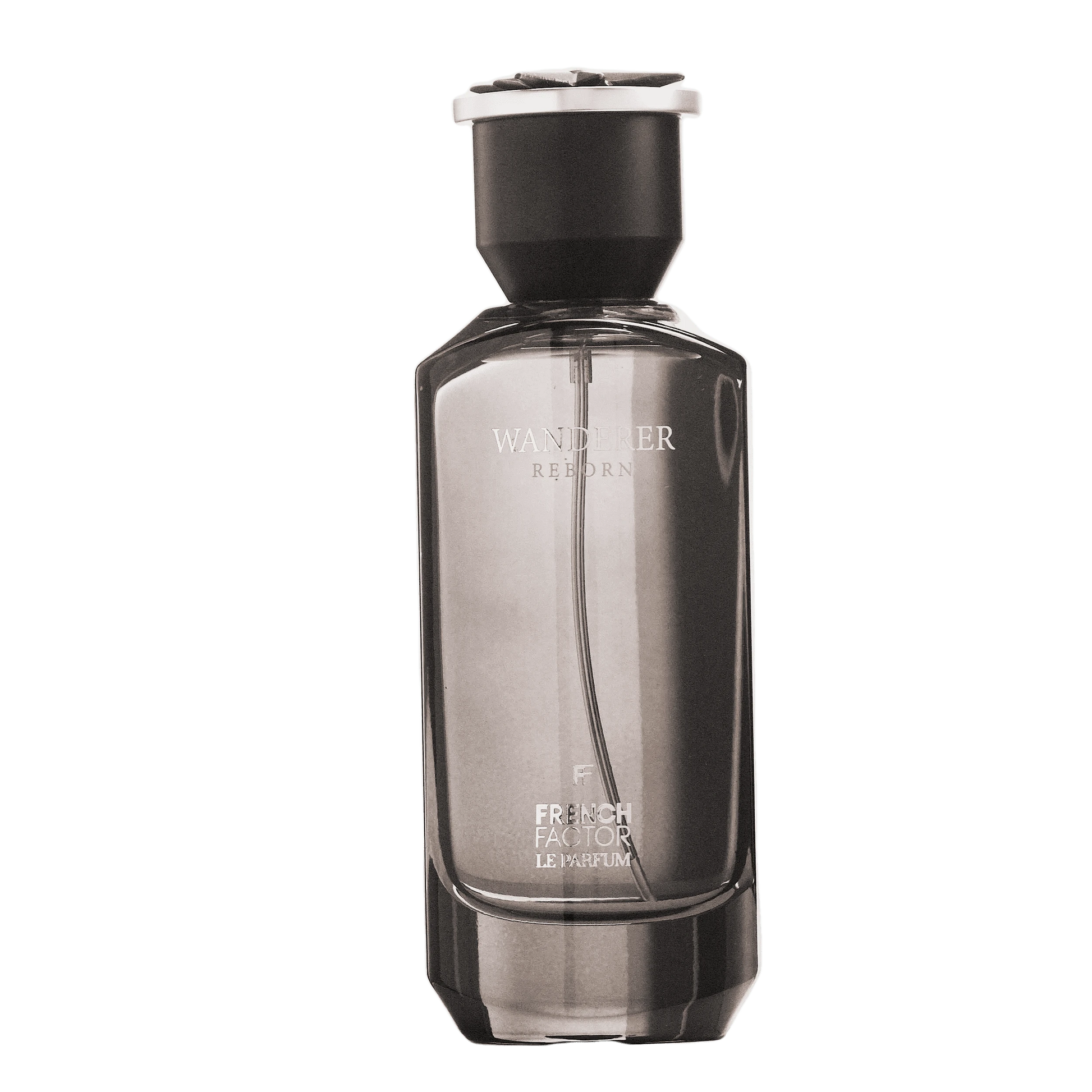 REBORN Video - French Factor