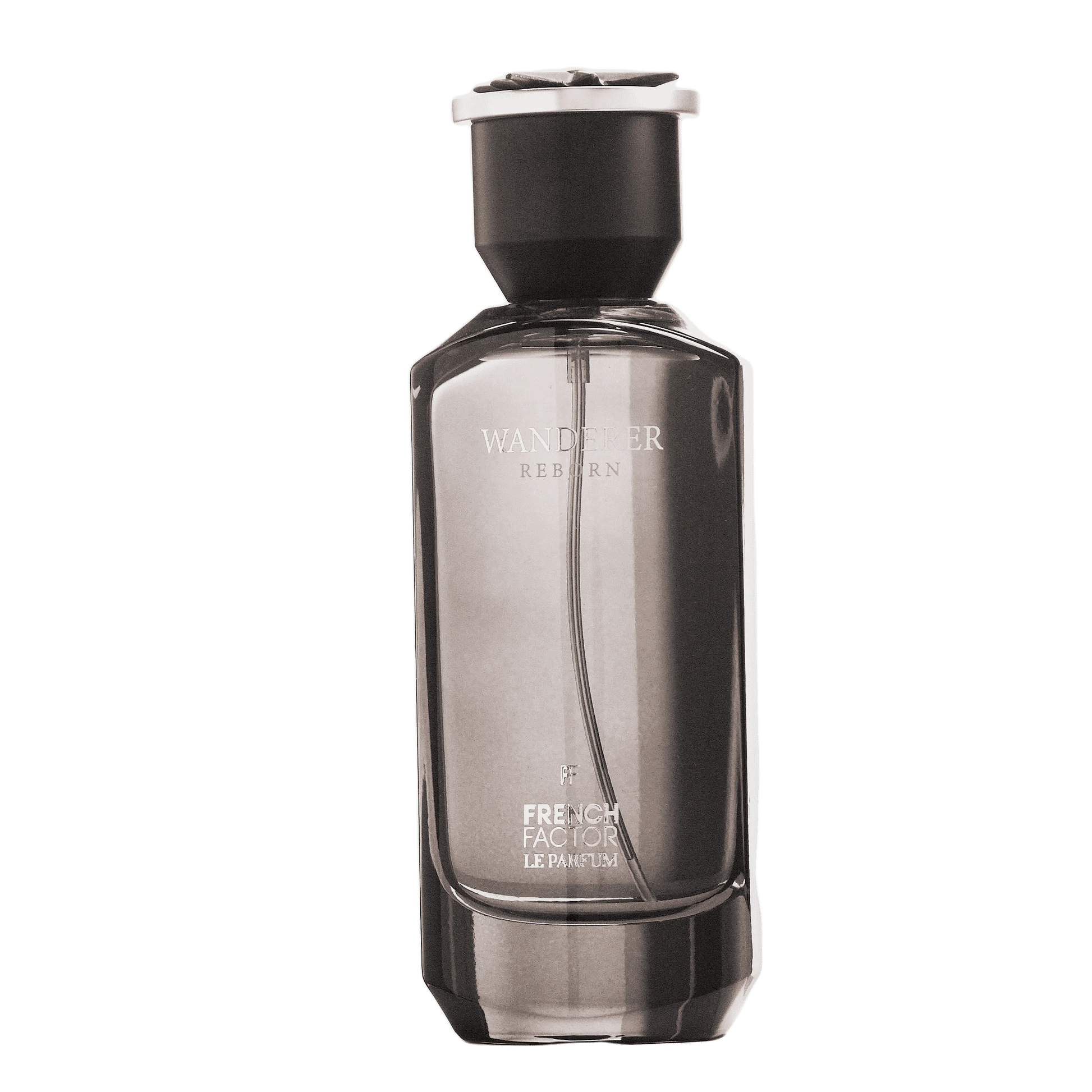 REBORN Video - French Factor