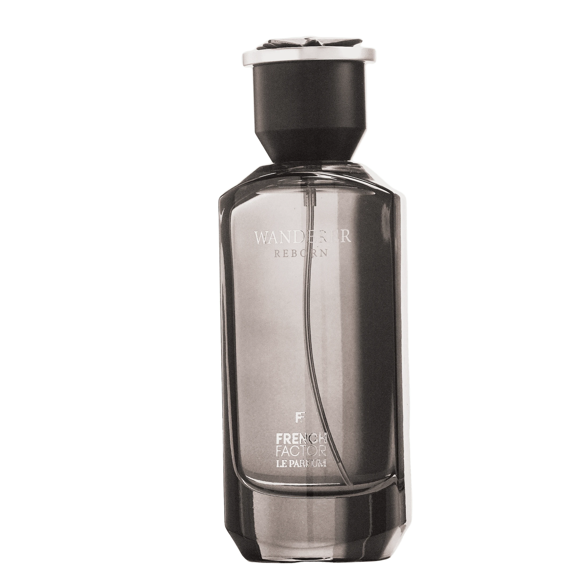 REBORN Video - French Factor