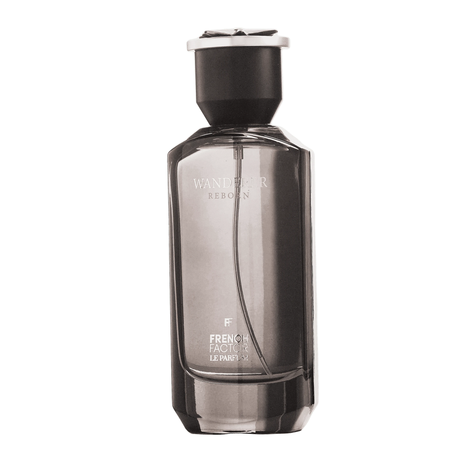 REBORN Video - French Factor