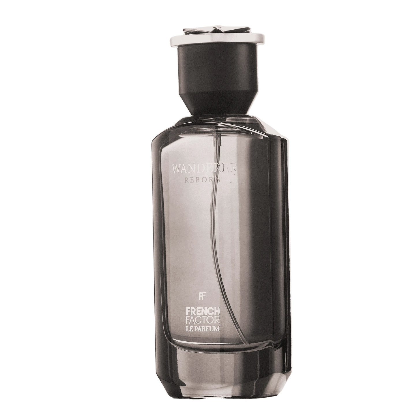 REBORN Video - French Factor